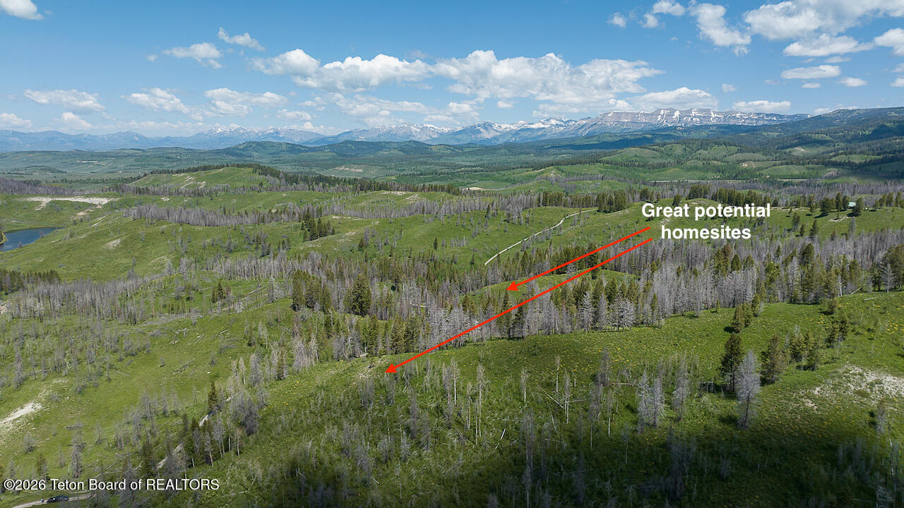 TBD DEER HAVEN 40 AC Road