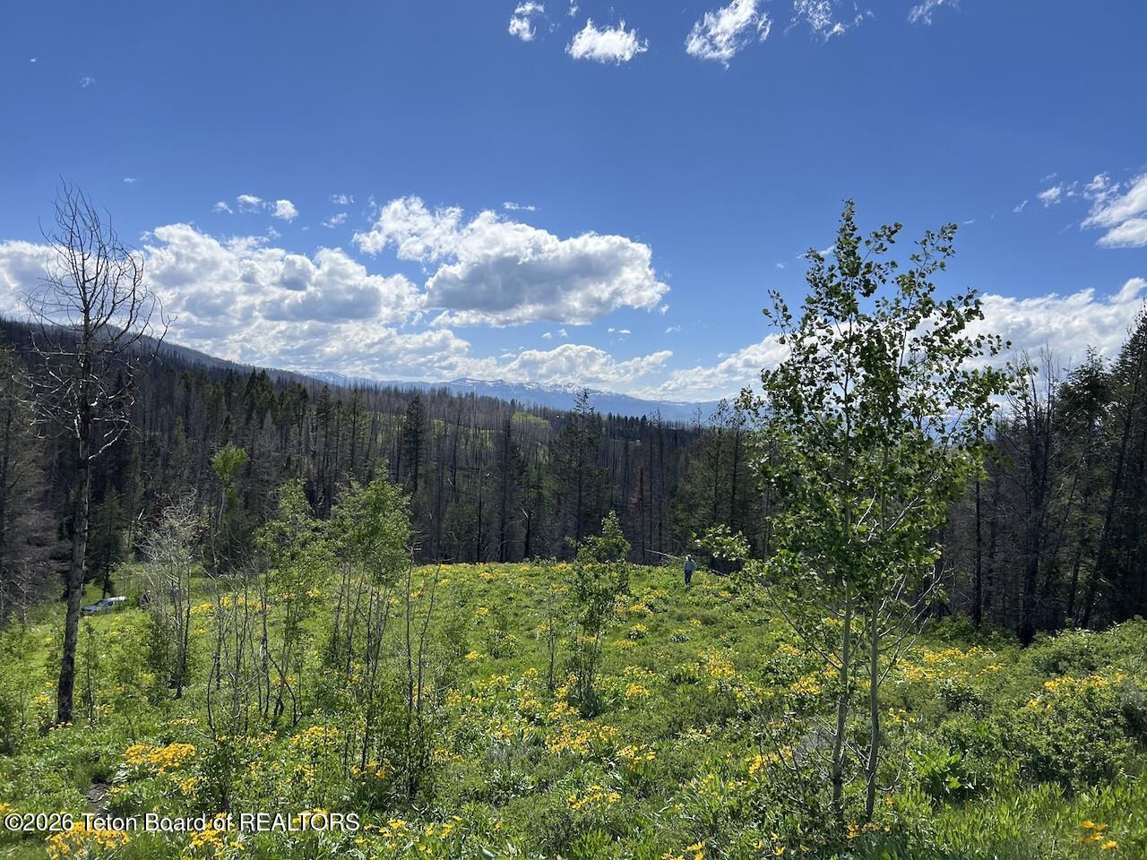 TBD DEER HAVEN 40 AC Road