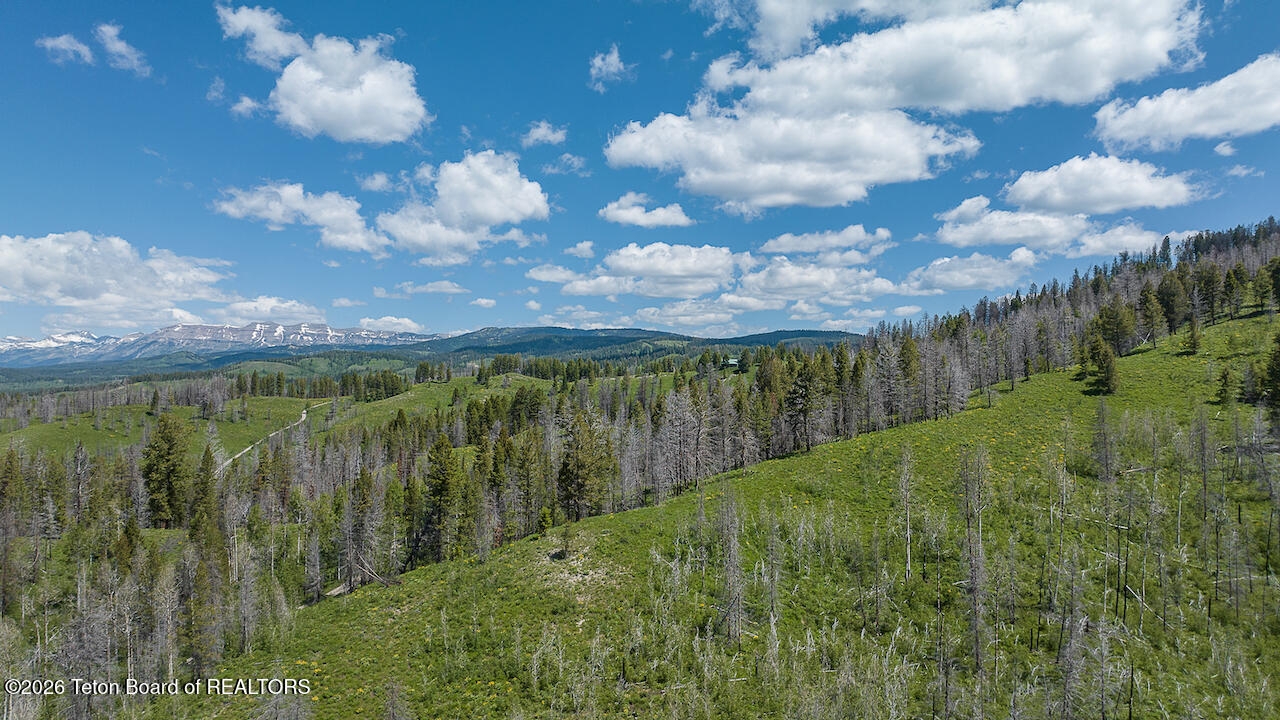 TBD DEER HAVEN 40 AC Road