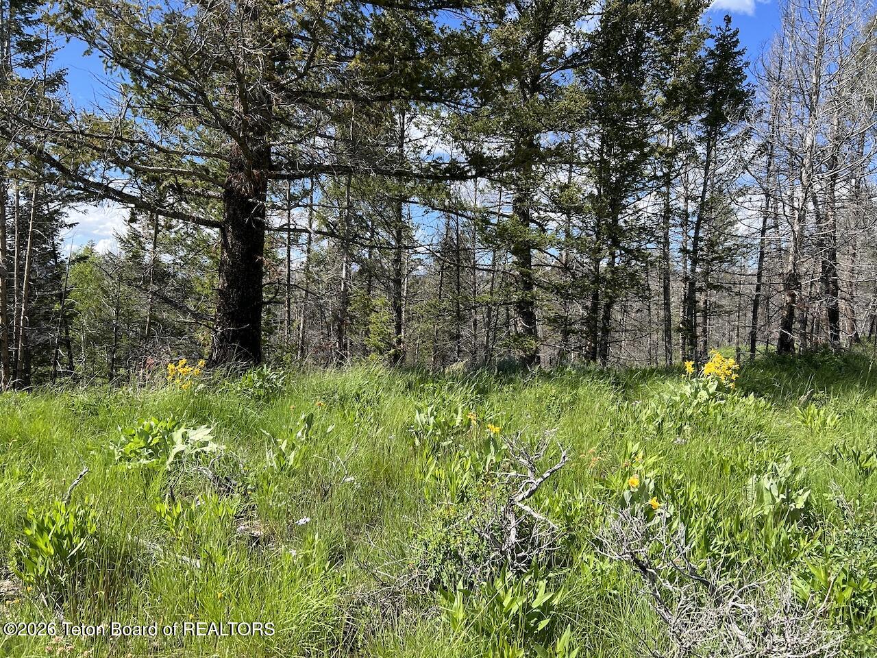 TBD DEER HAVEN 40 AC Road