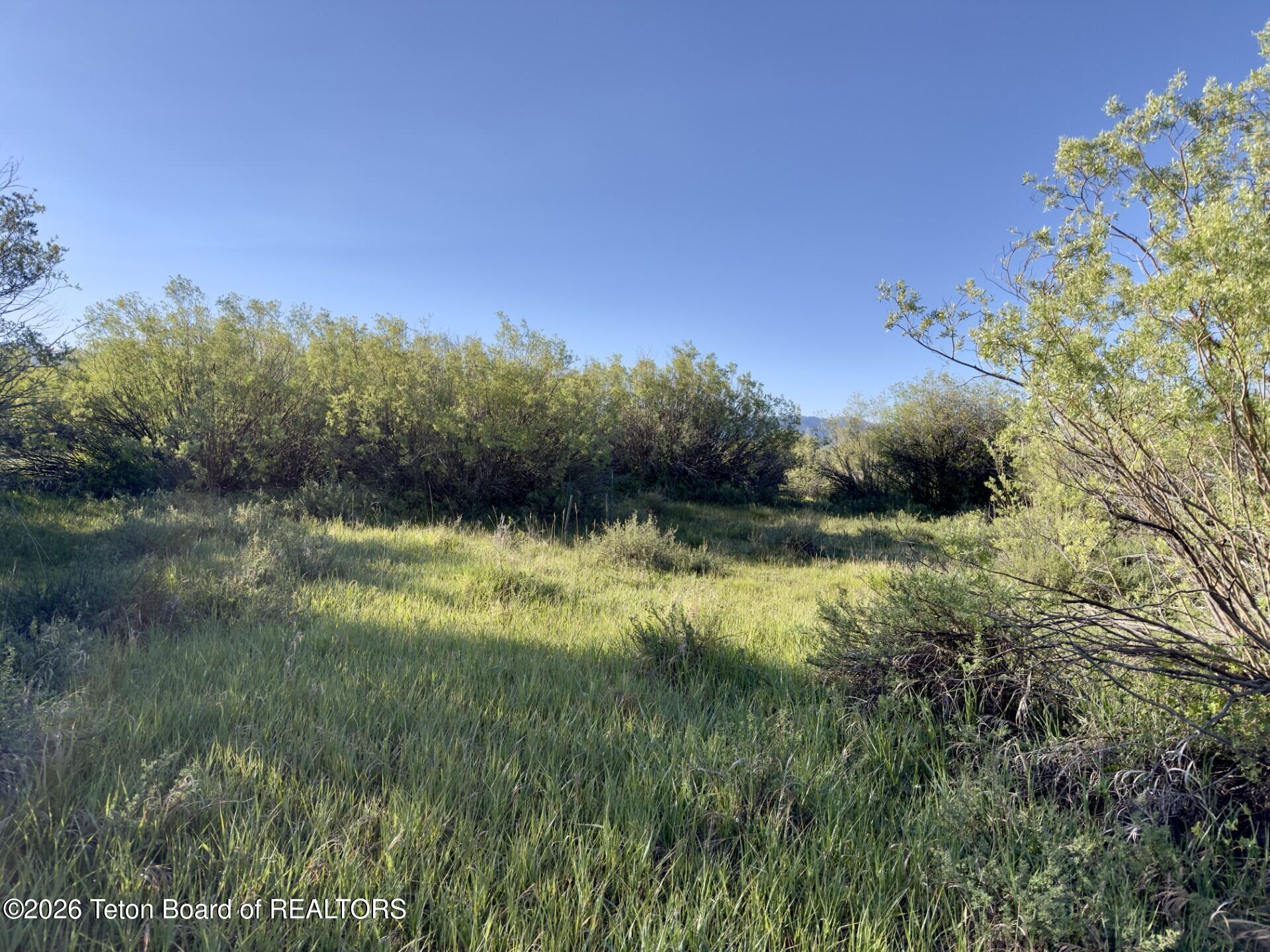 3329 TROUT CREEK Road