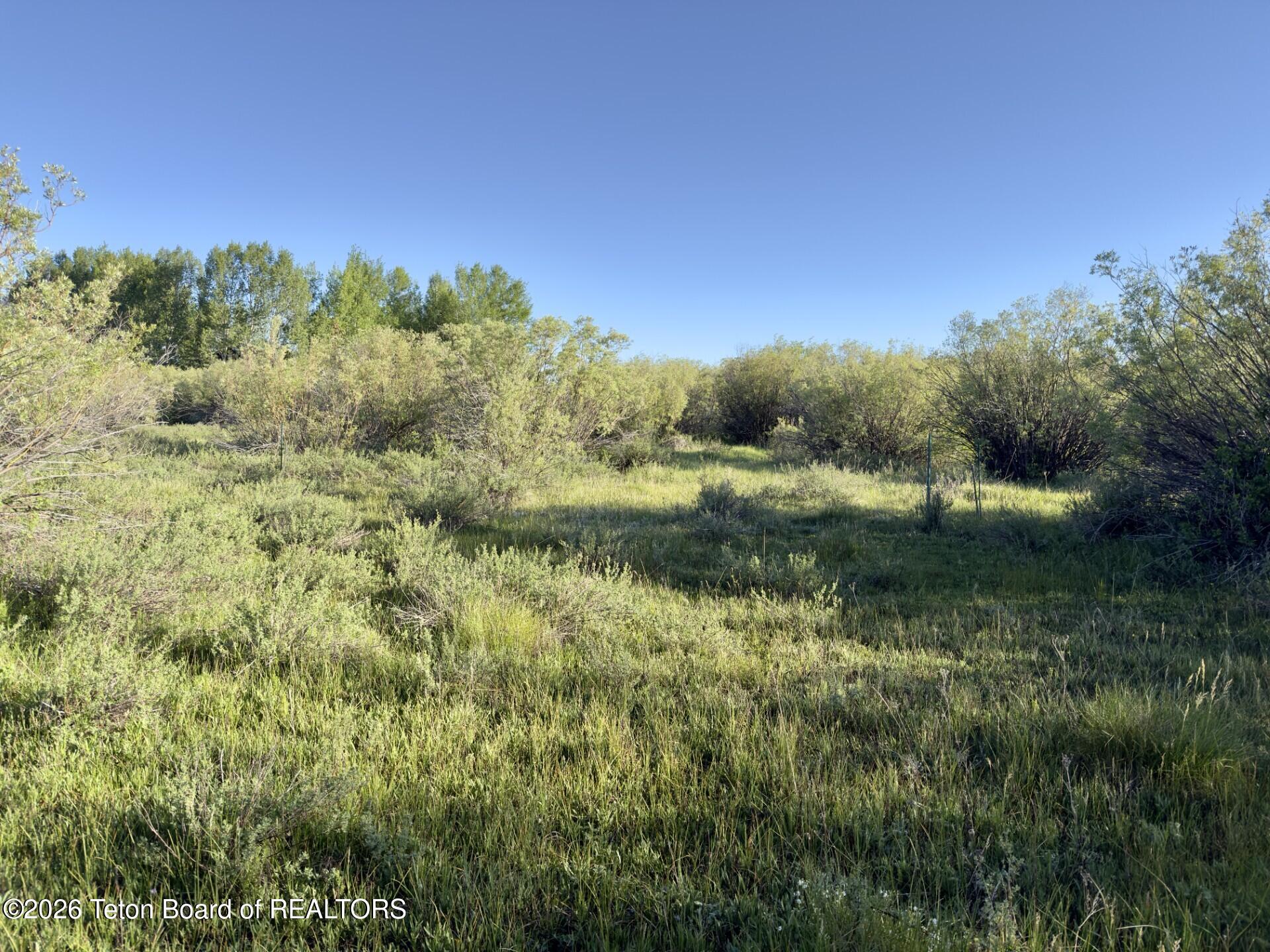 3329 TROUT CREEK Road