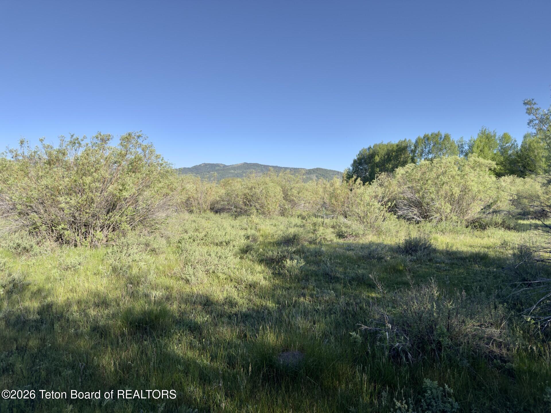 3329 TROUT CREEK Road