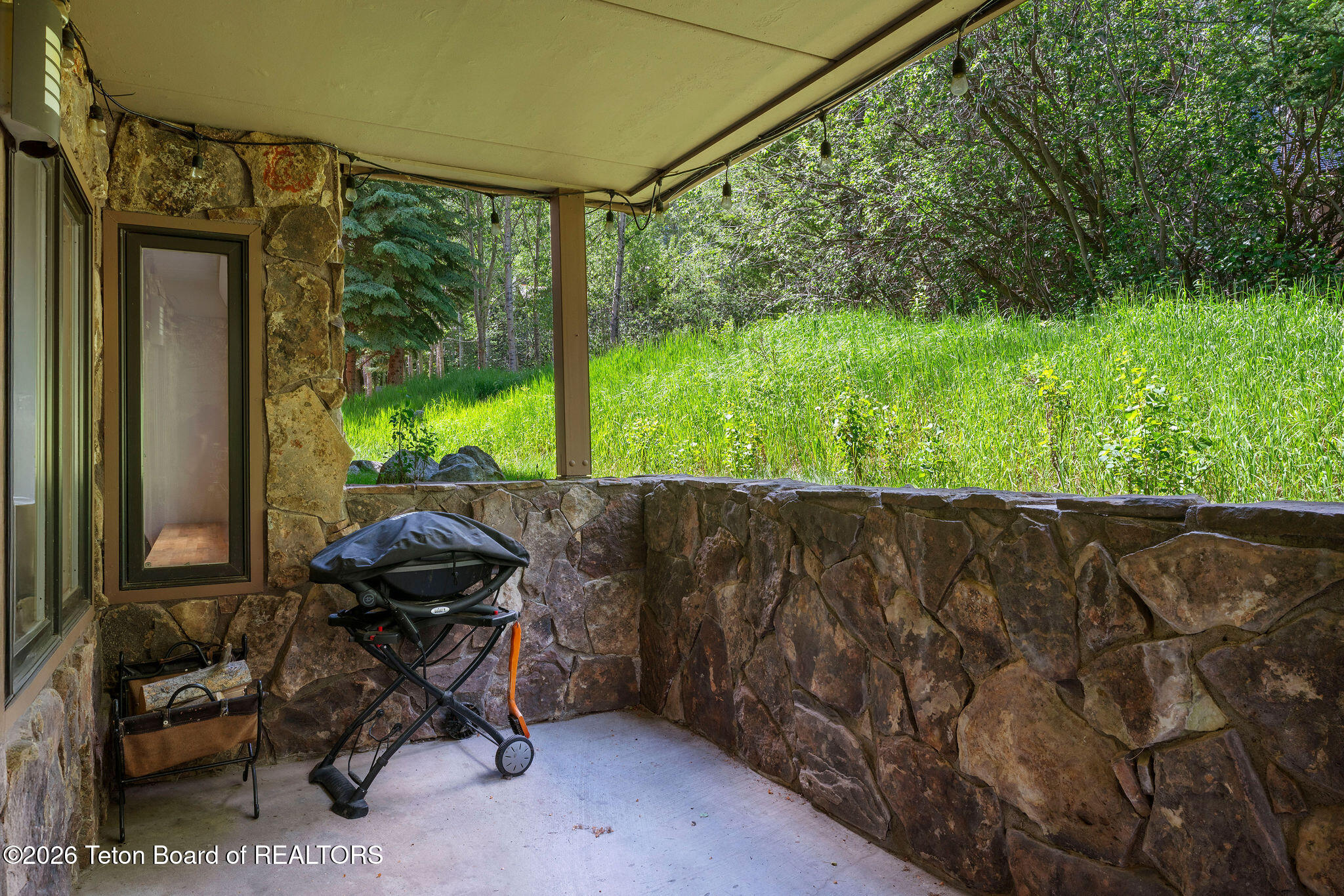 3655 W MICHAEL Drive C-1