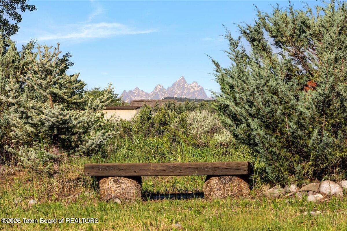 25777 N YELLOWSTONE Trail