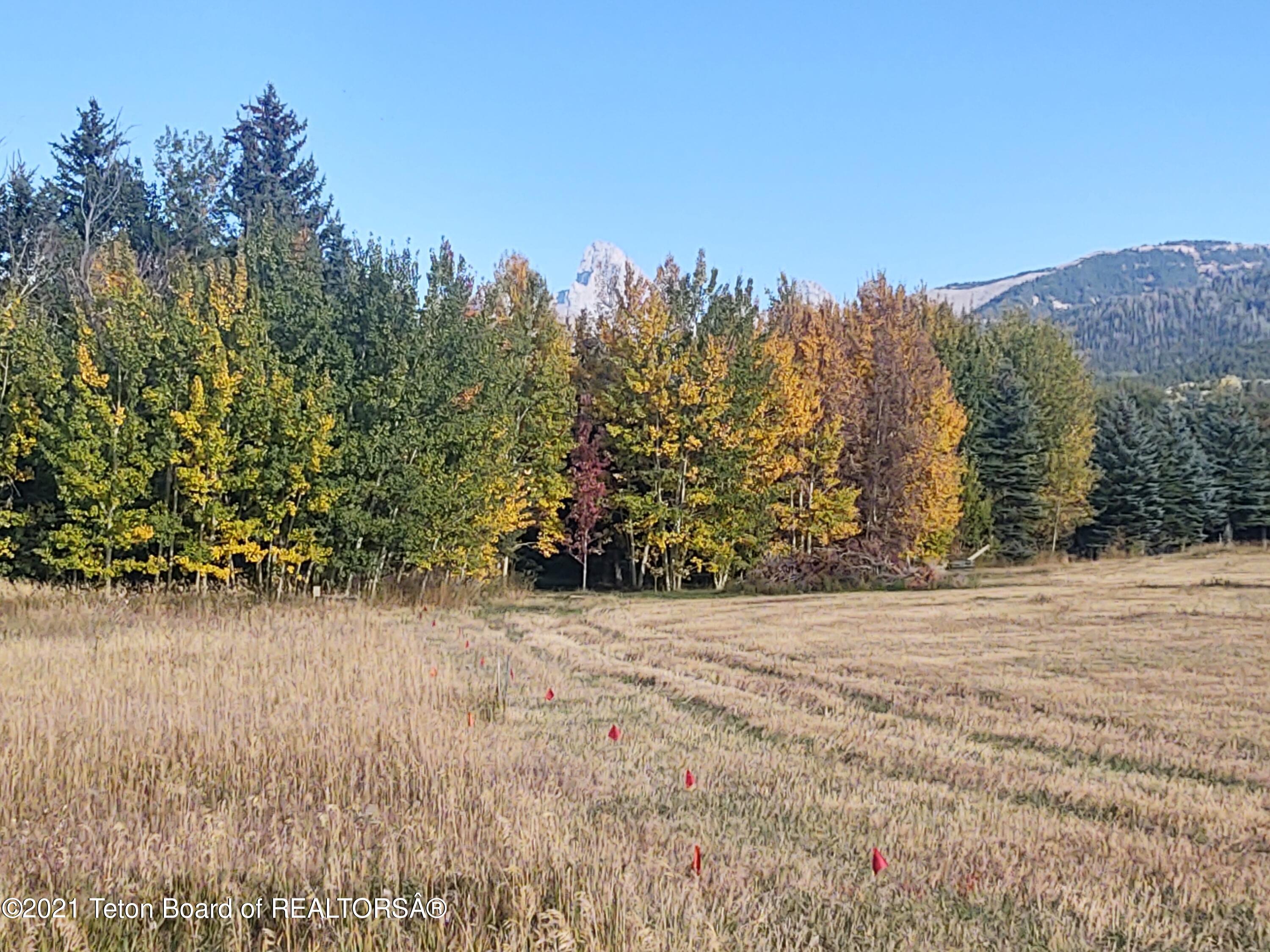 445 TARGHEE TOWNE Road