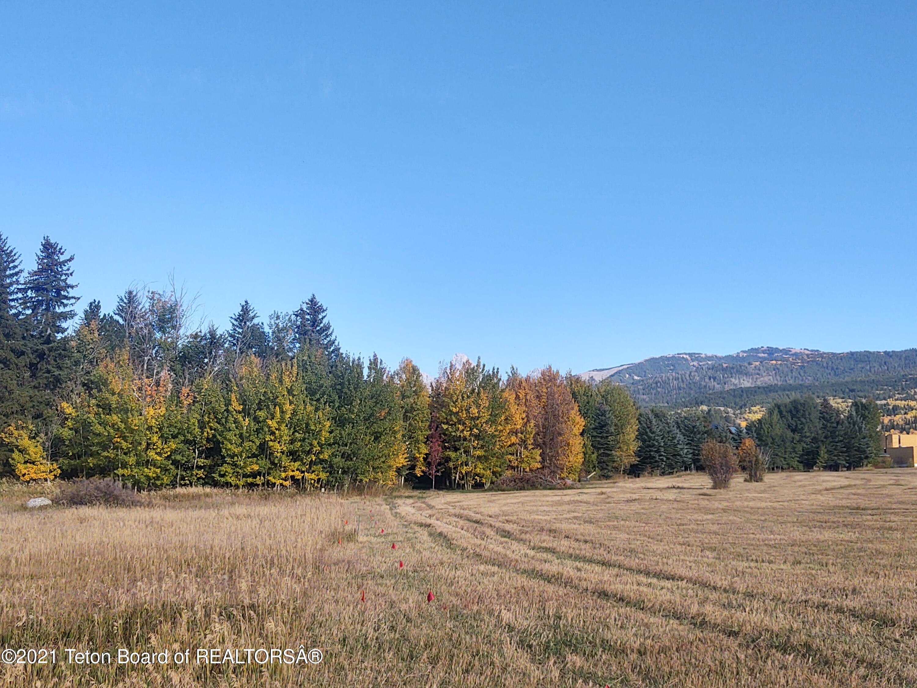 445 TARGHEE TOWNE Road