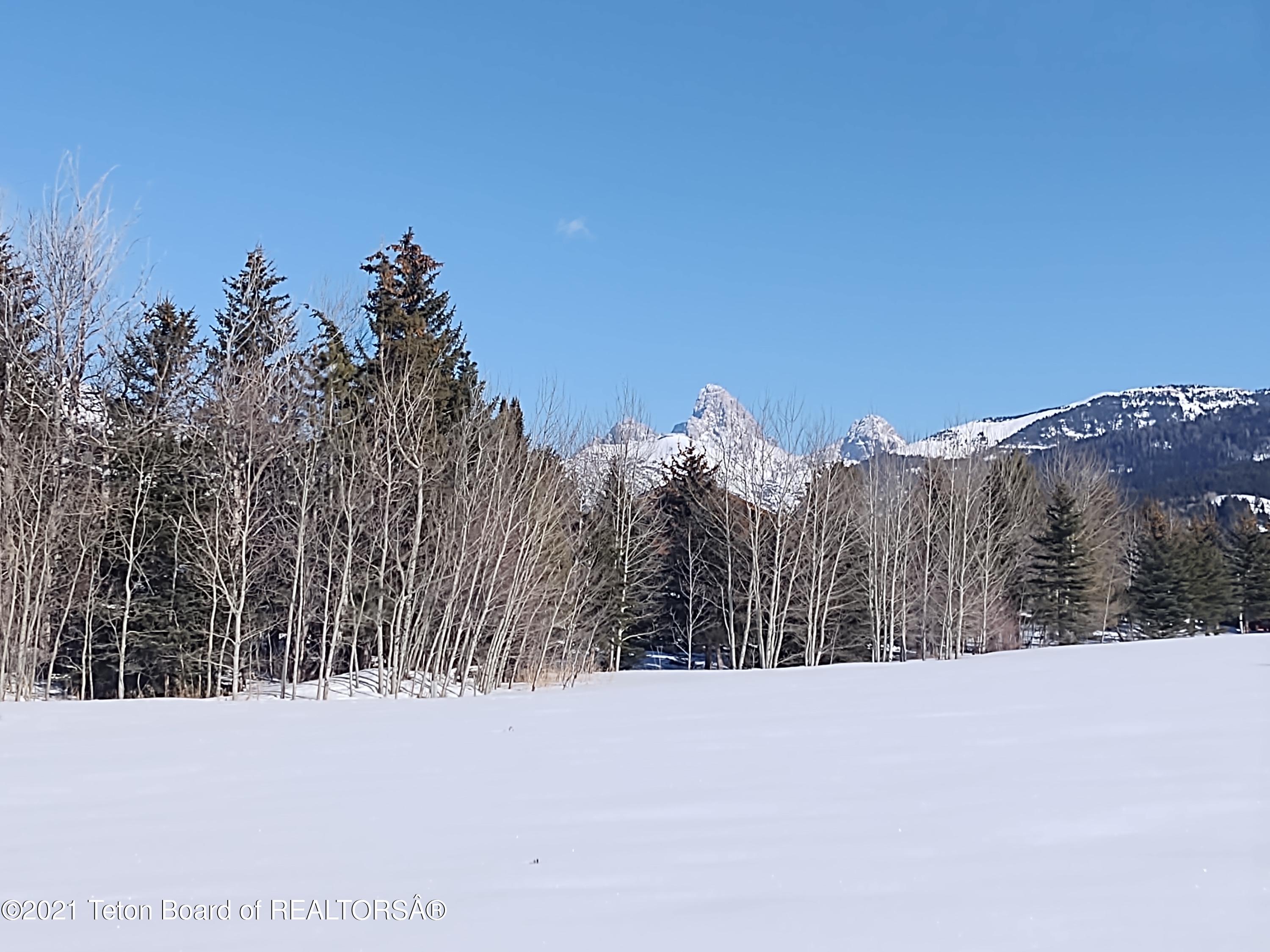 445 TARGHEE TOWNE Road