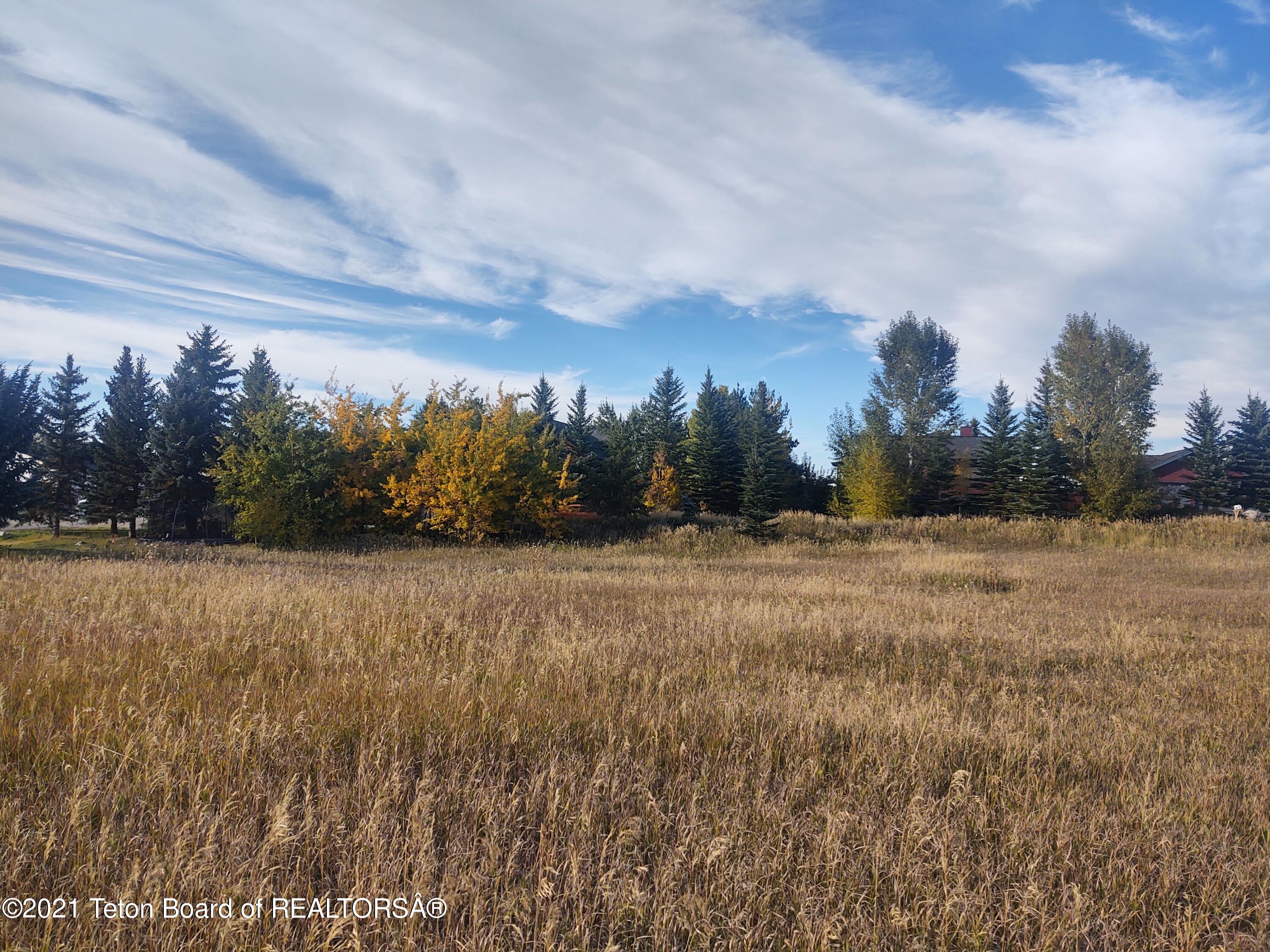 445 TARGHEE TOWNE Road
