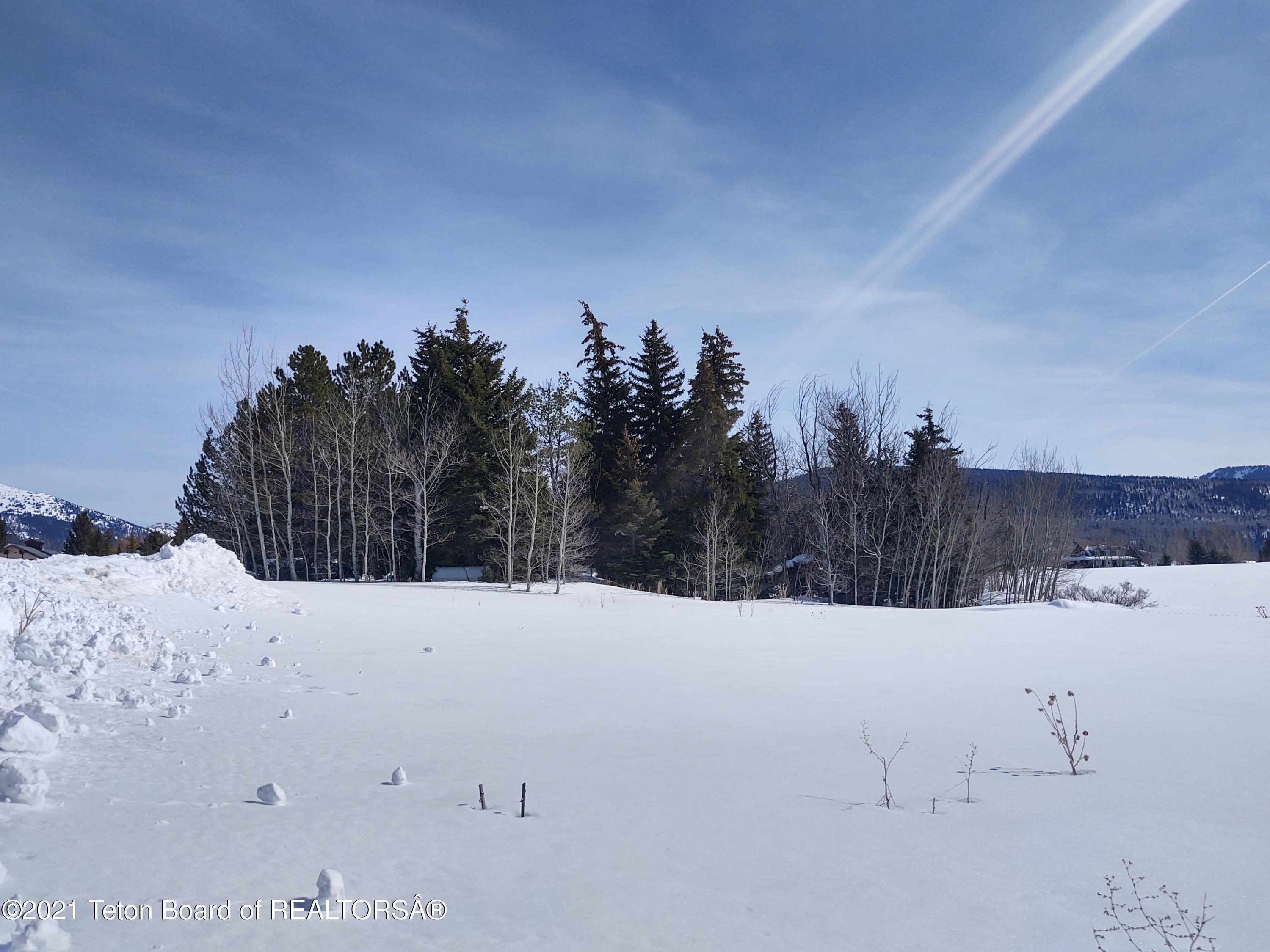 445 TARGHEE TOWNE Road