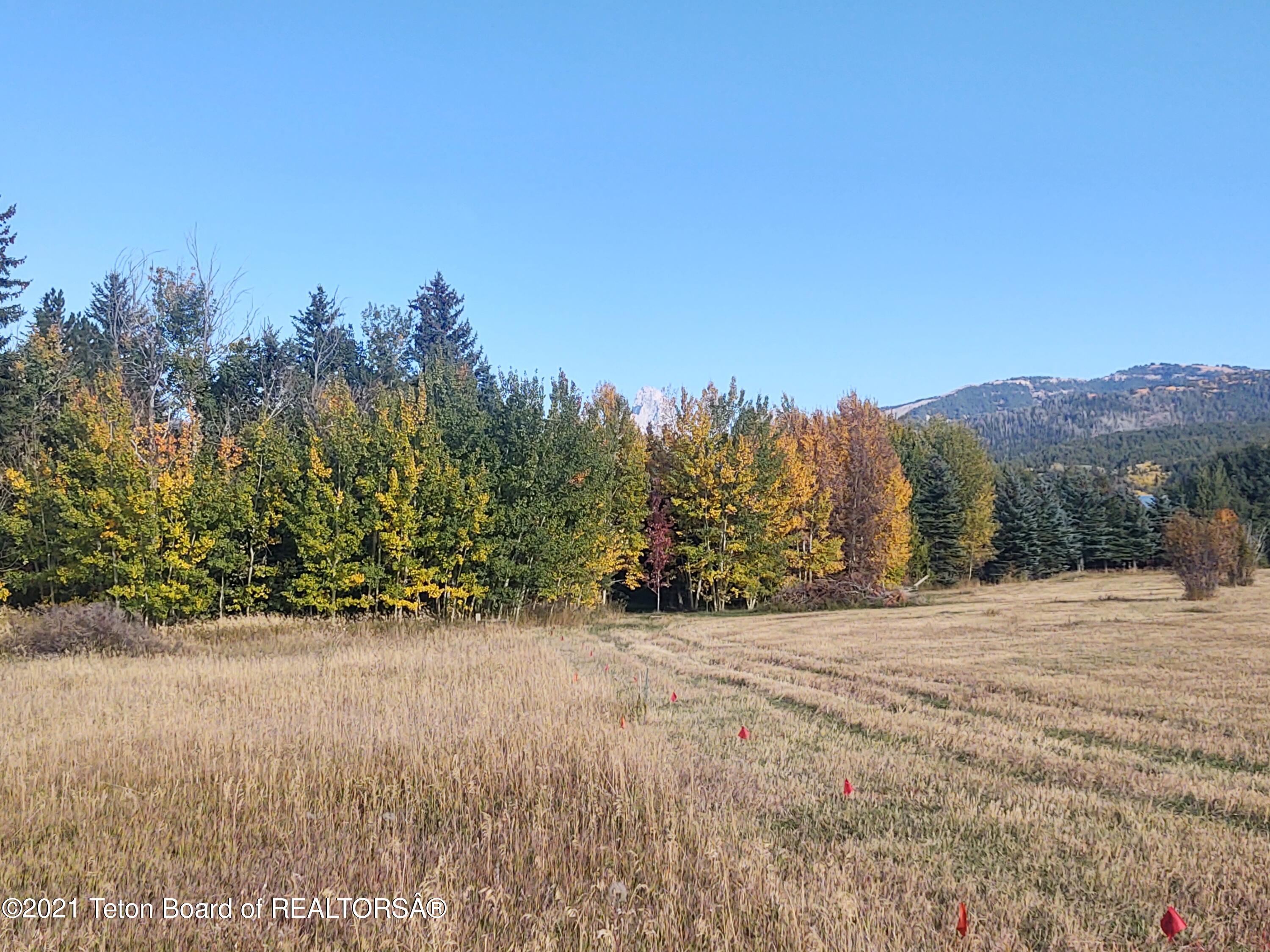 445 TARGHEE TOWNE Road