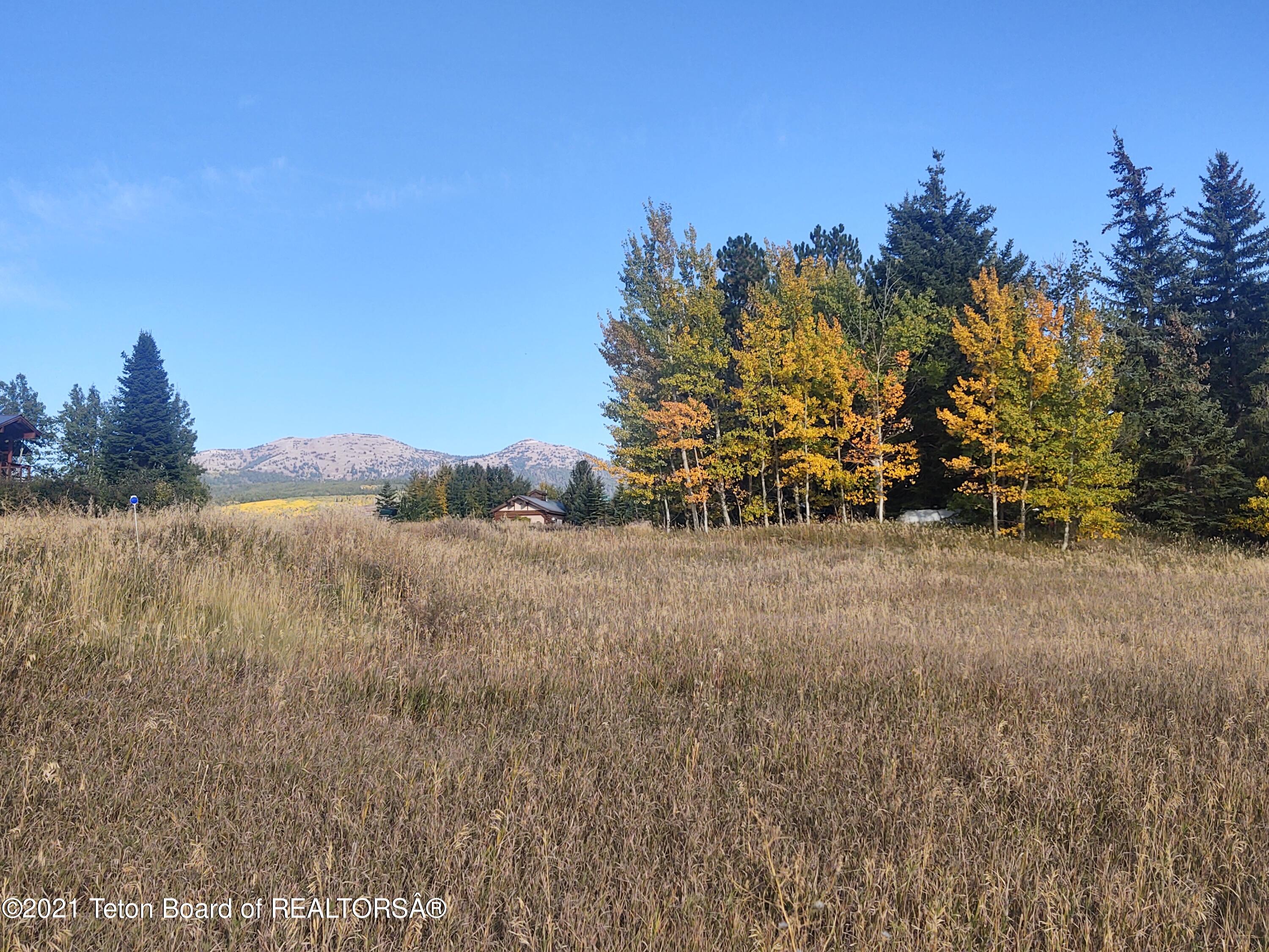 445 TARGHEE TOWNE Road
