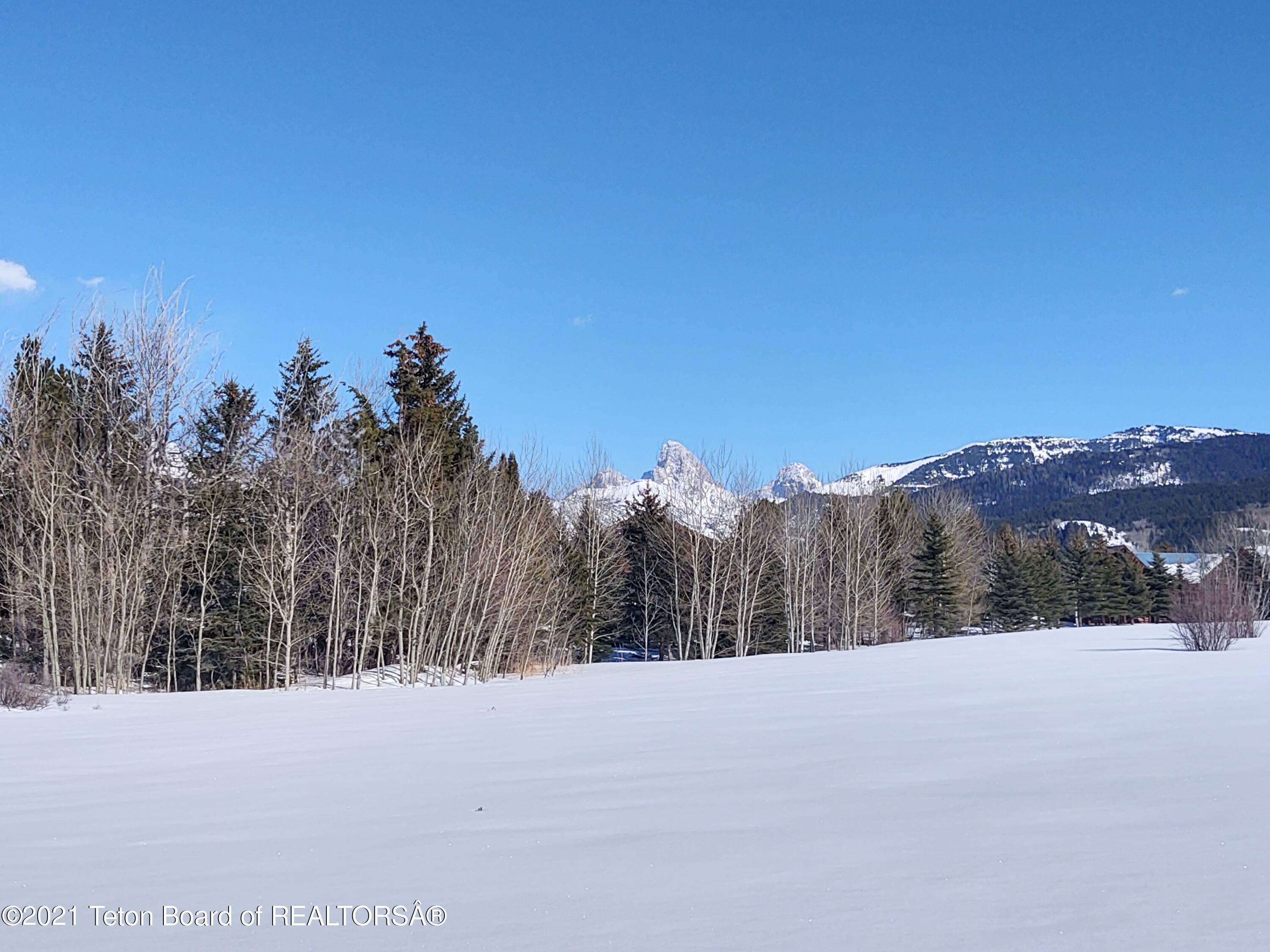445 TARGHEE TOWNE Road