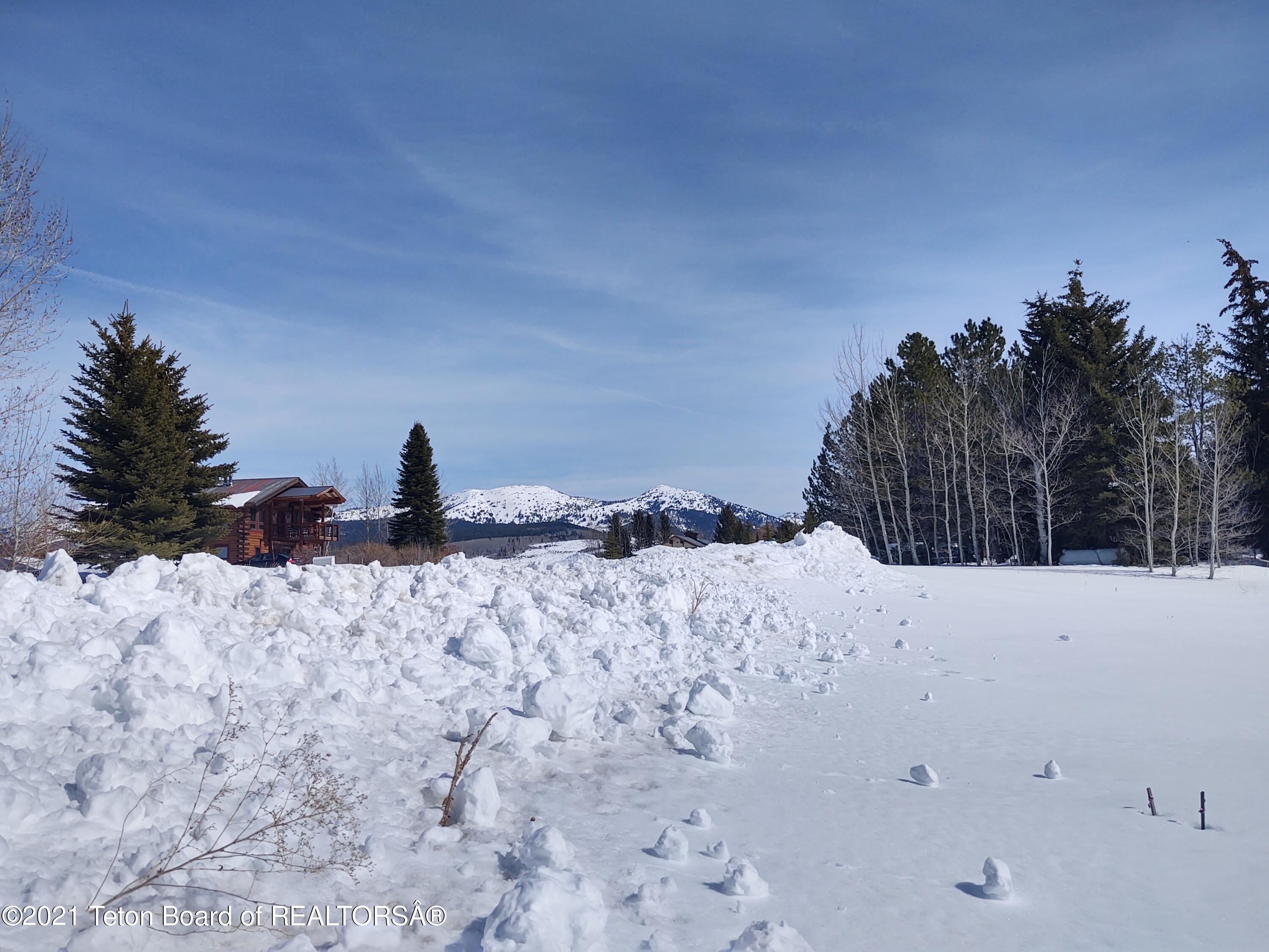 445 TARGHEE TOWNE Road