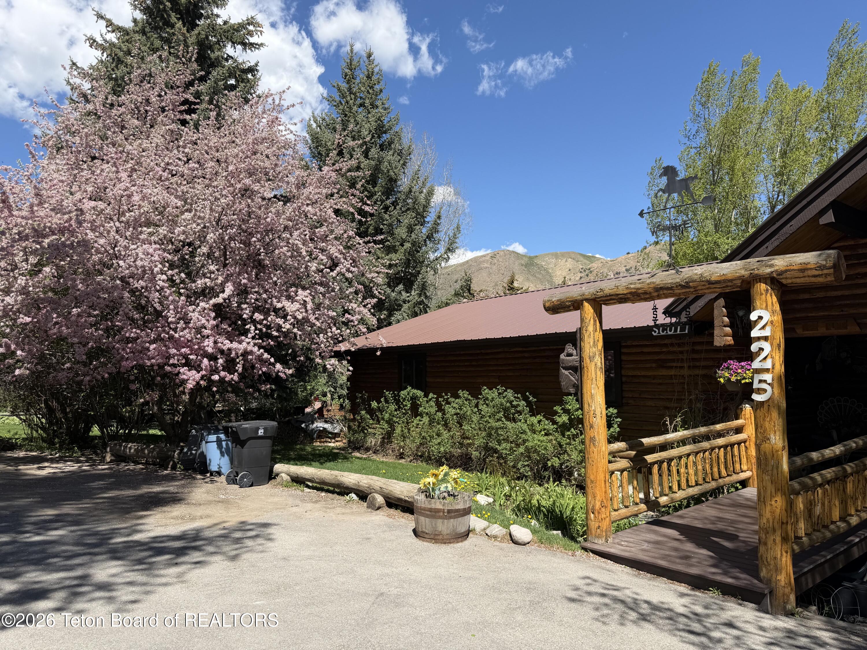 225 PINE Drive