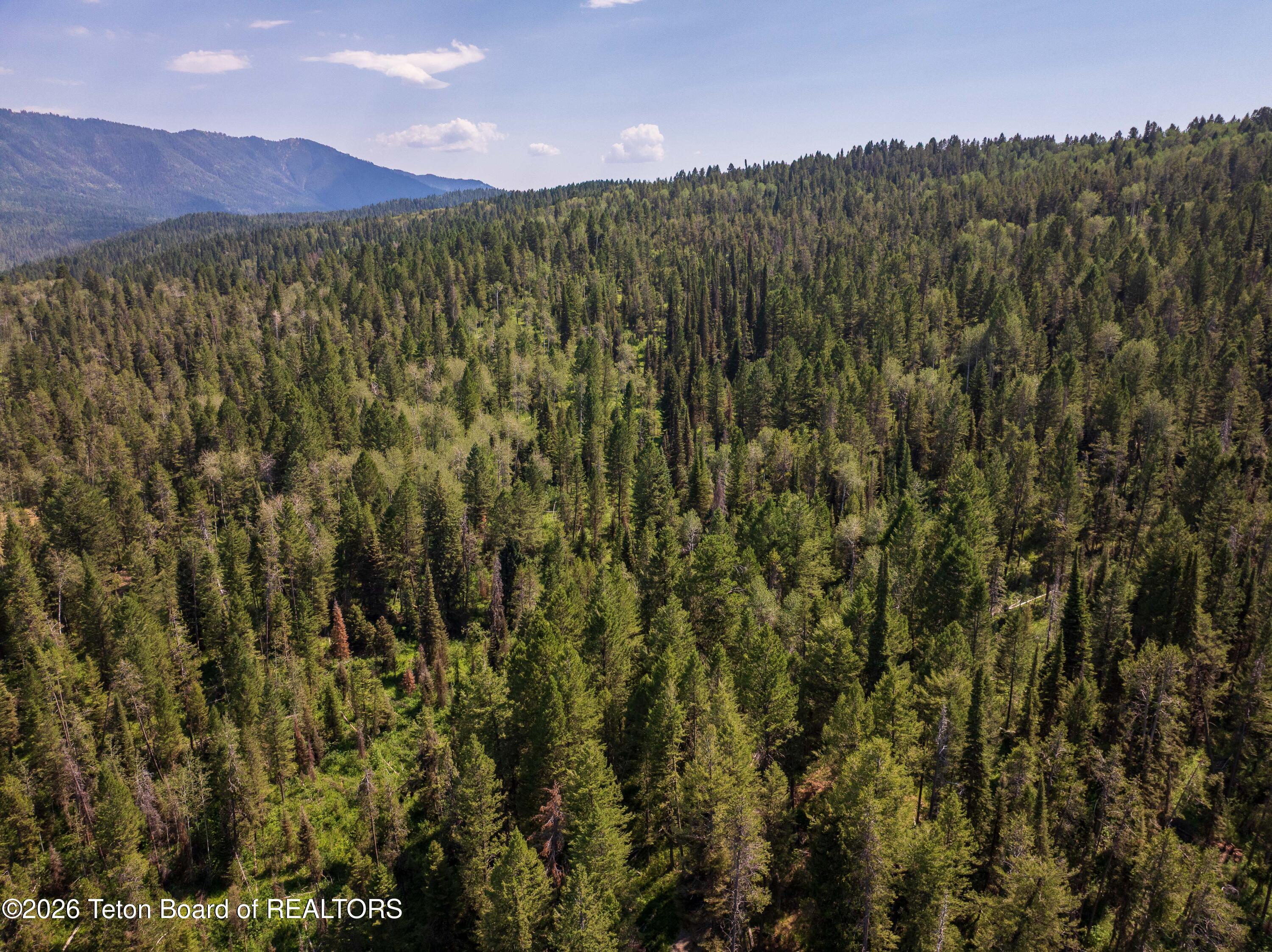 80 ACRES CO RD 126