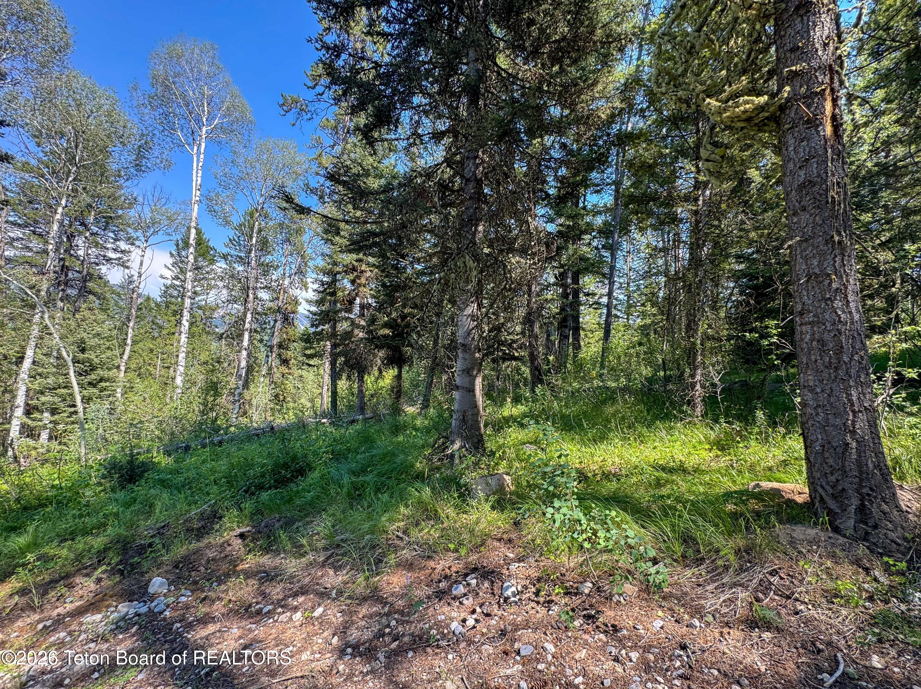 80 ACRES CO RD 126