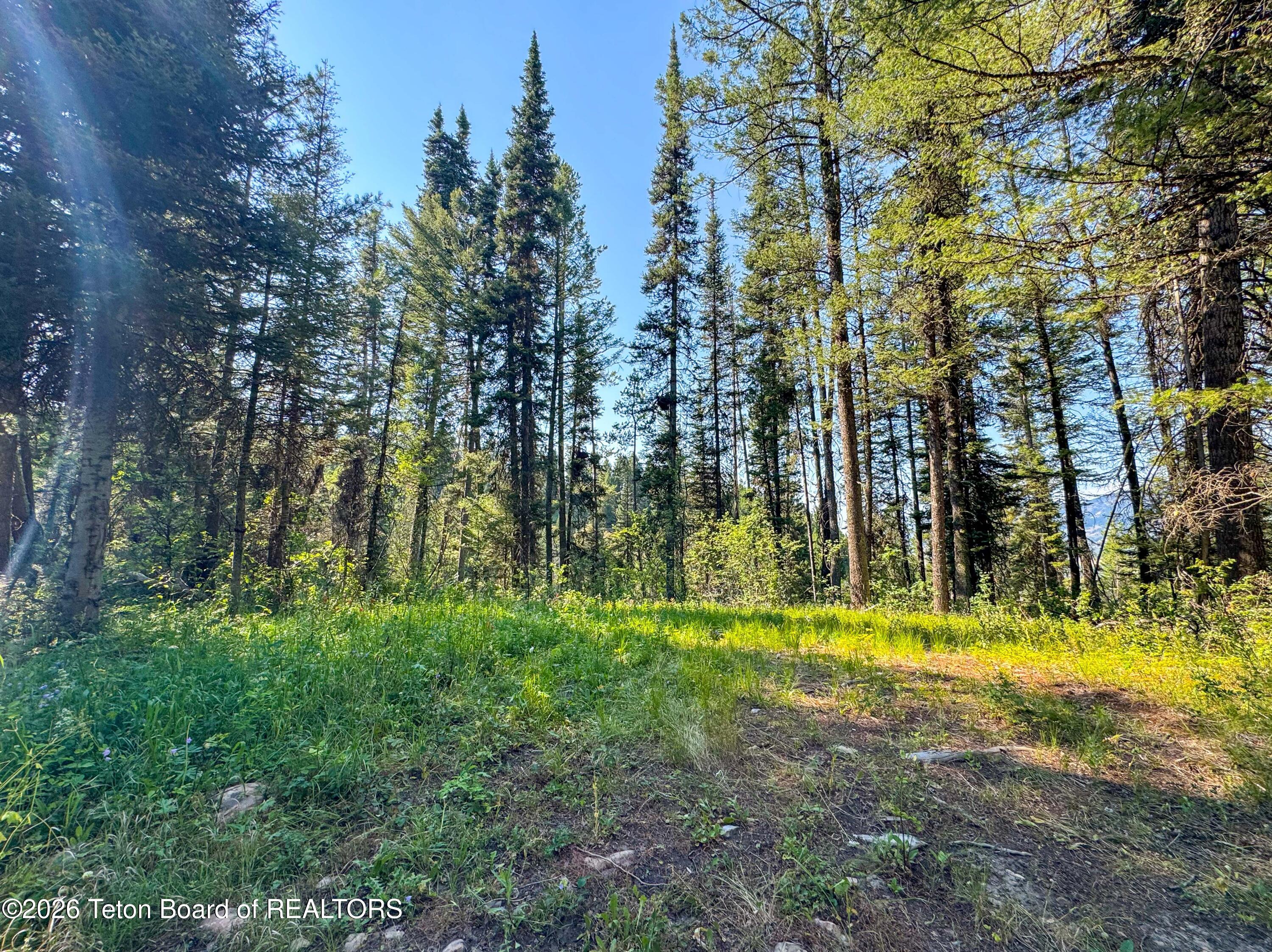 80 ACRES CO RD 126
