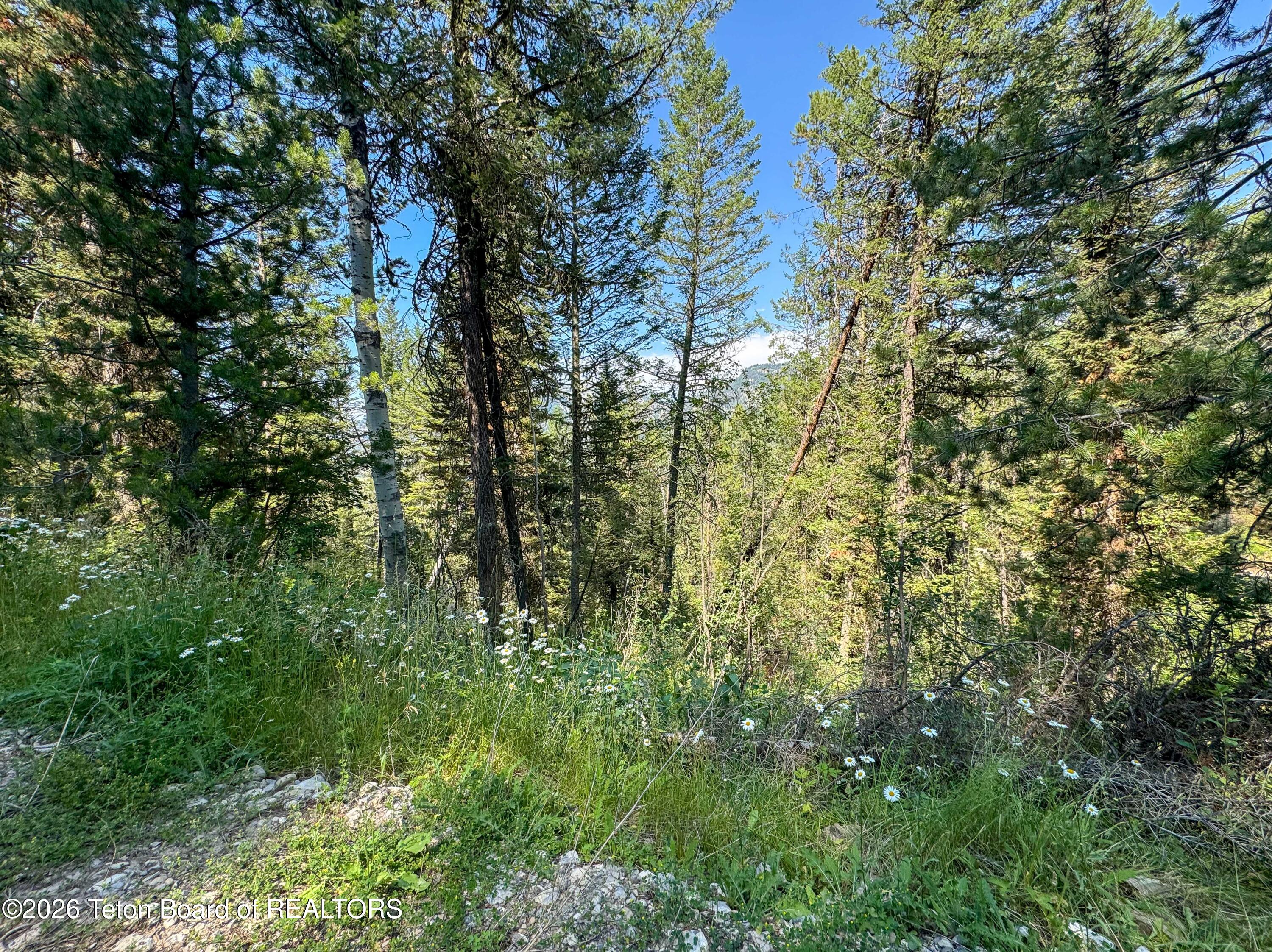 80 ACRES CO RD 126