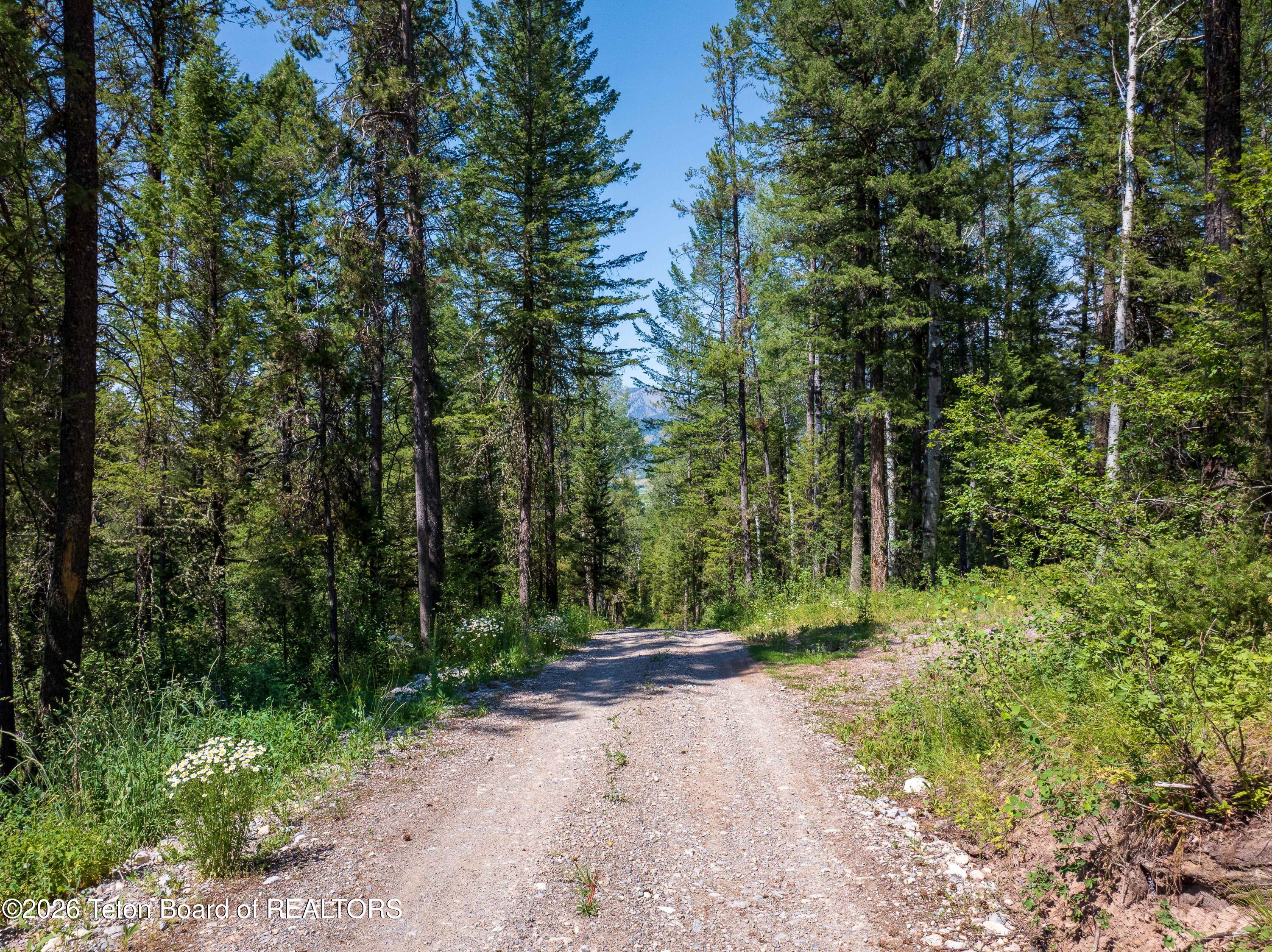 80 ACRES CO RD 126