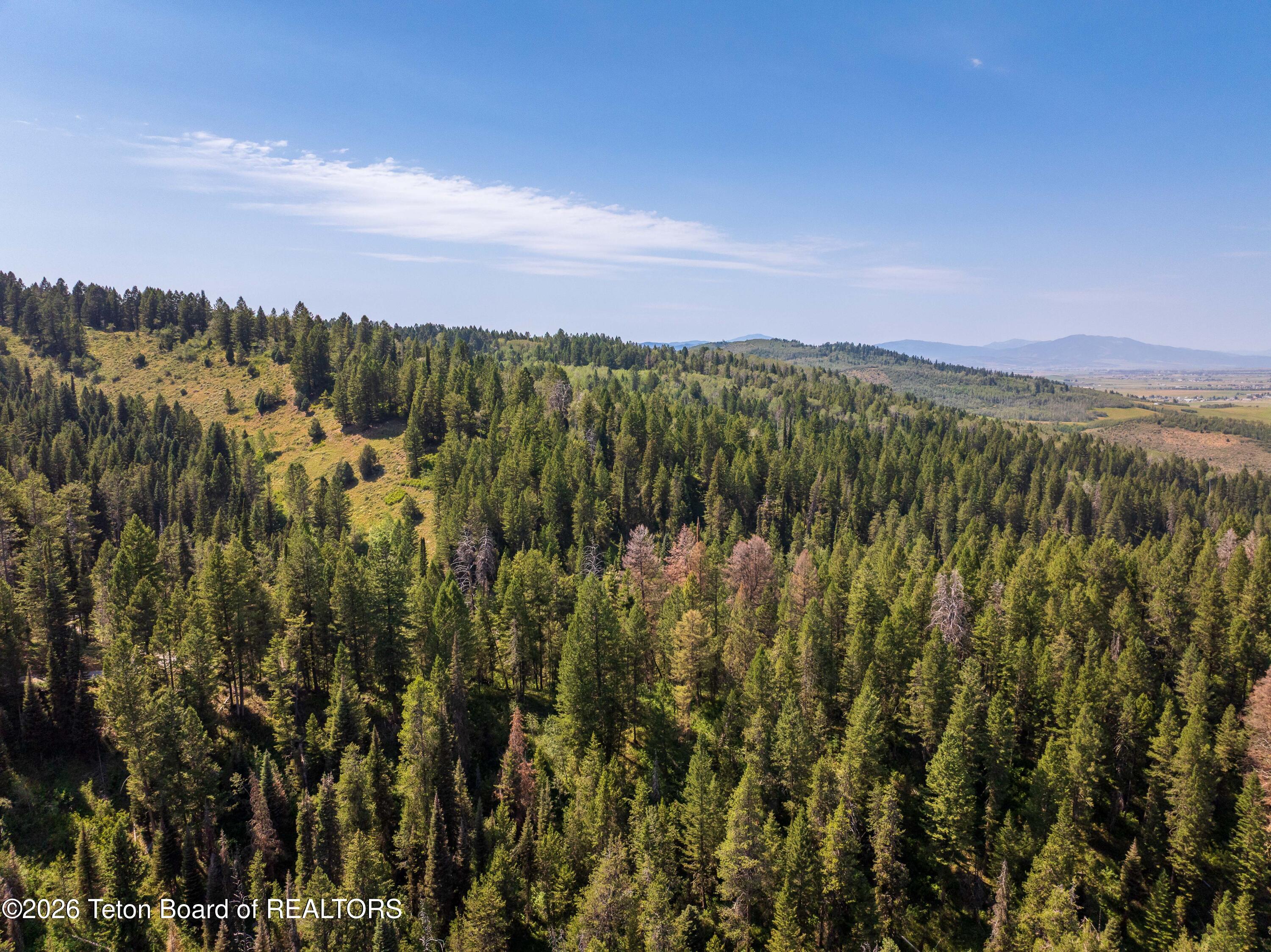 80 ACRES CO RD 126