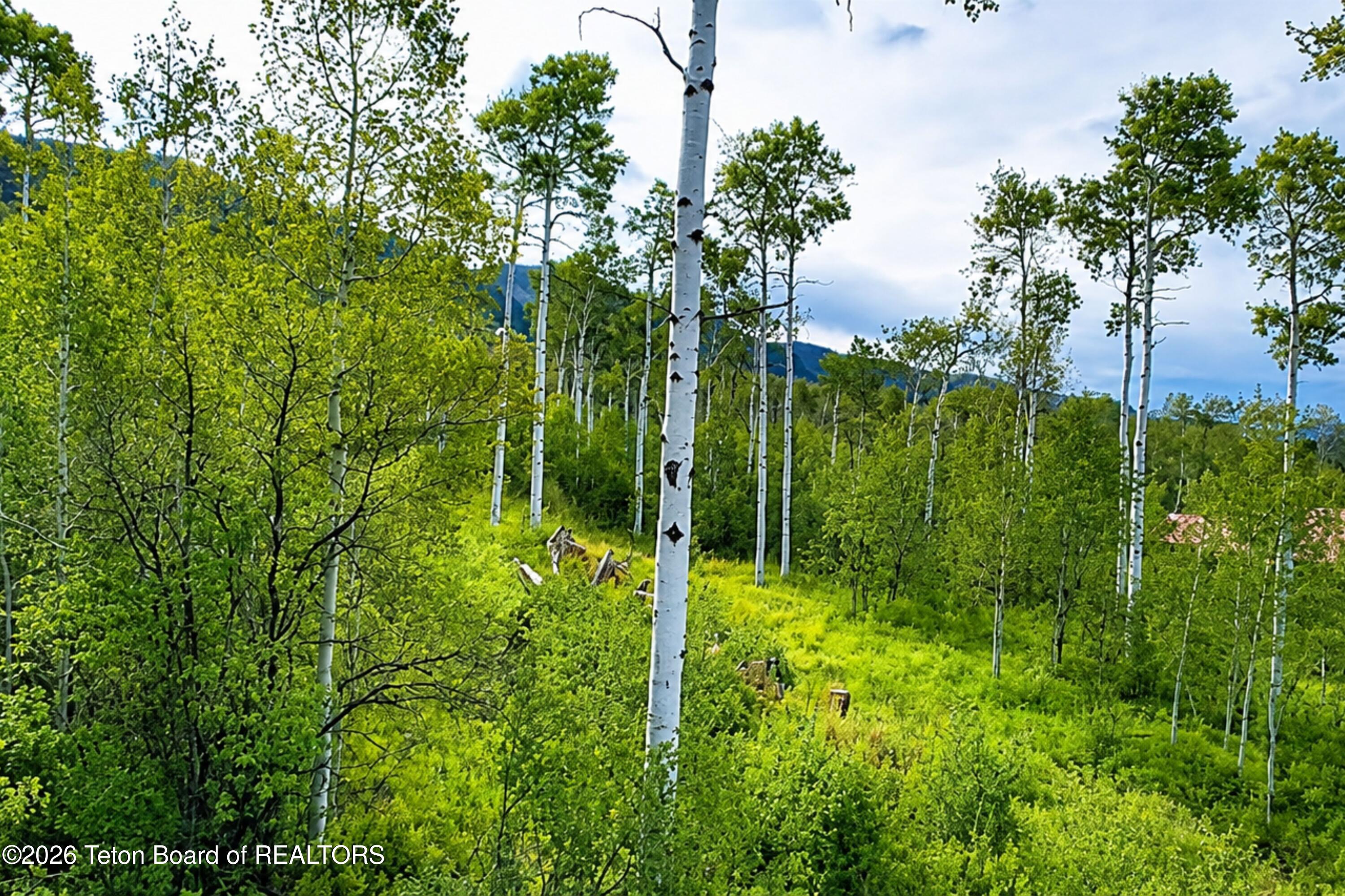 LOT 19 ASPEN Way