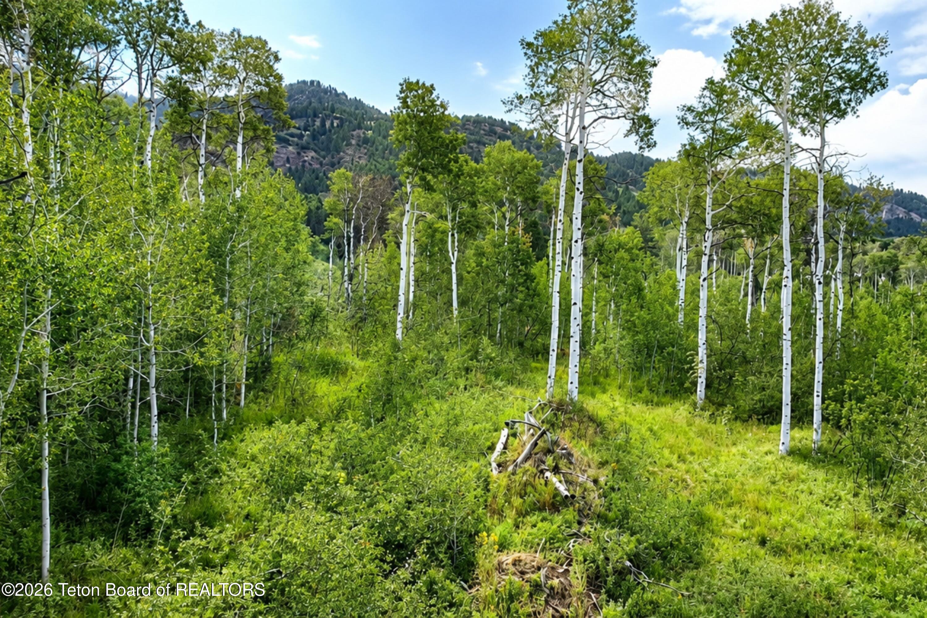 LOT 19 ASPEN Way