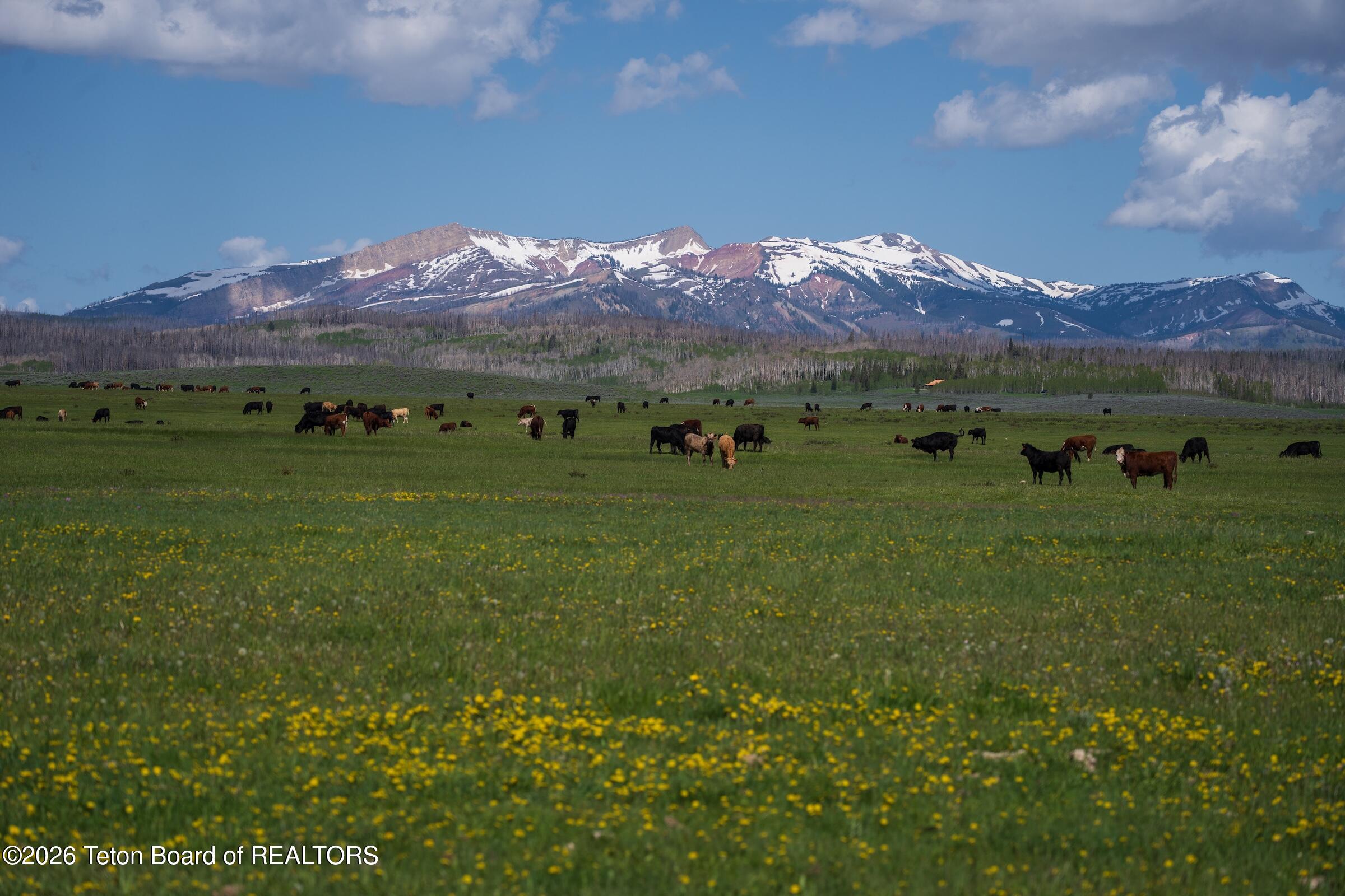 980 ACRES MERNA N. BEAVER