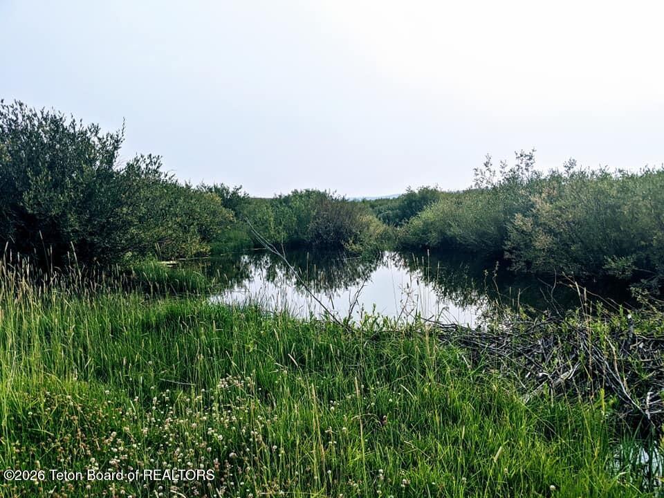 980 ACRES MERNA N. BEAVER