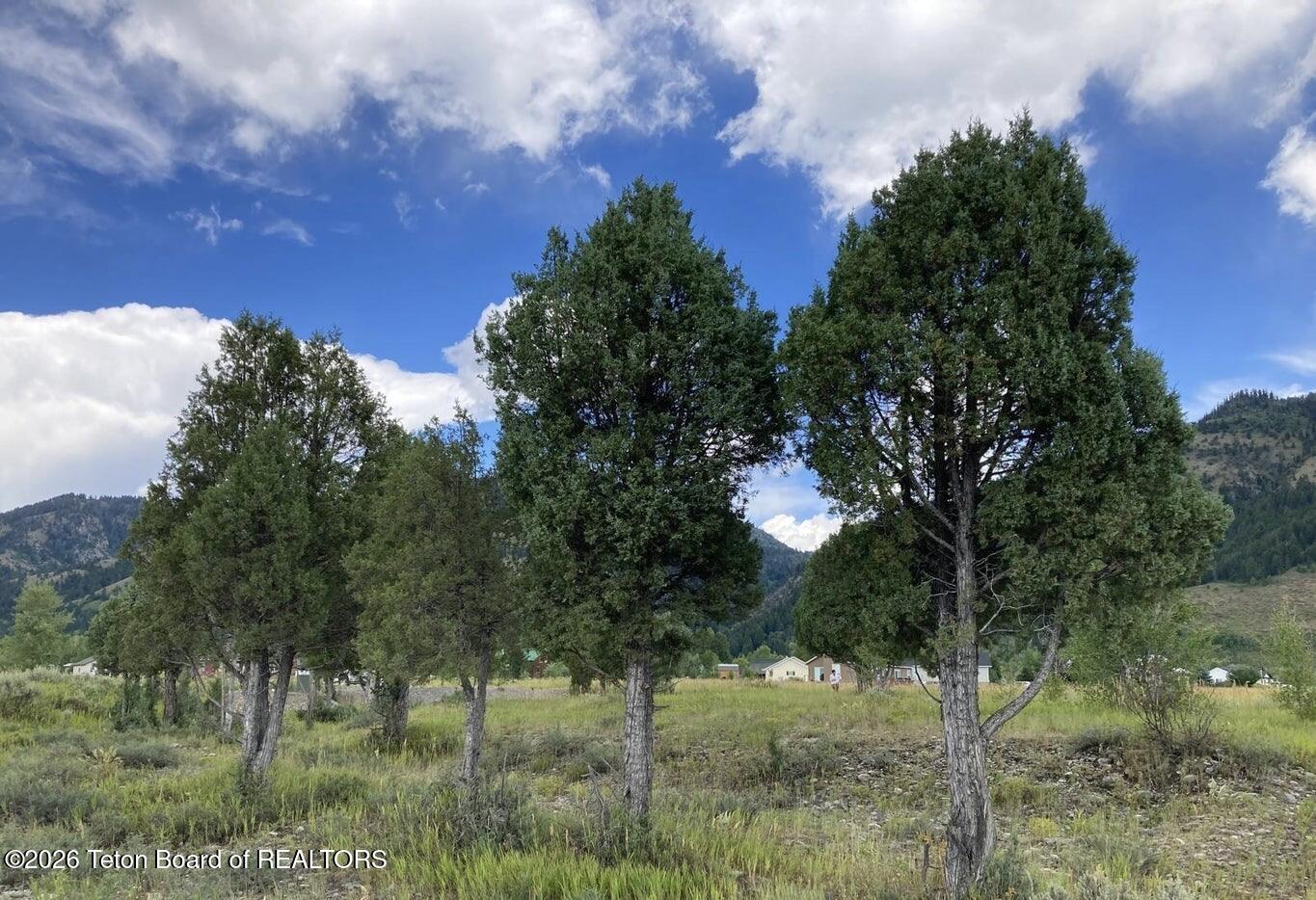 LOT 14 PONDEROSA Court