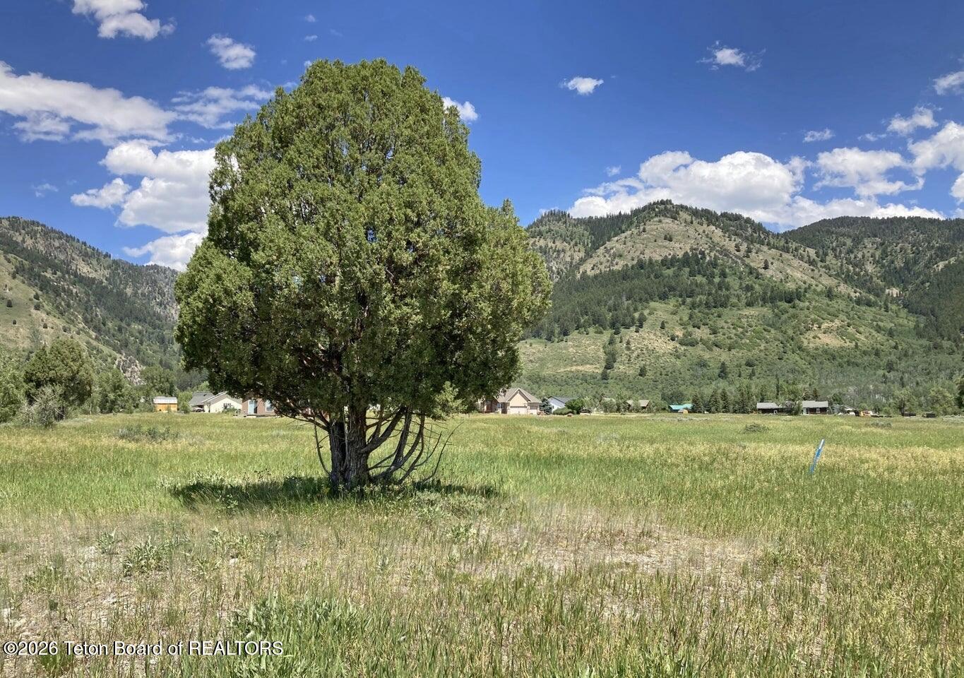 LOT 14 PONDEROSA Court