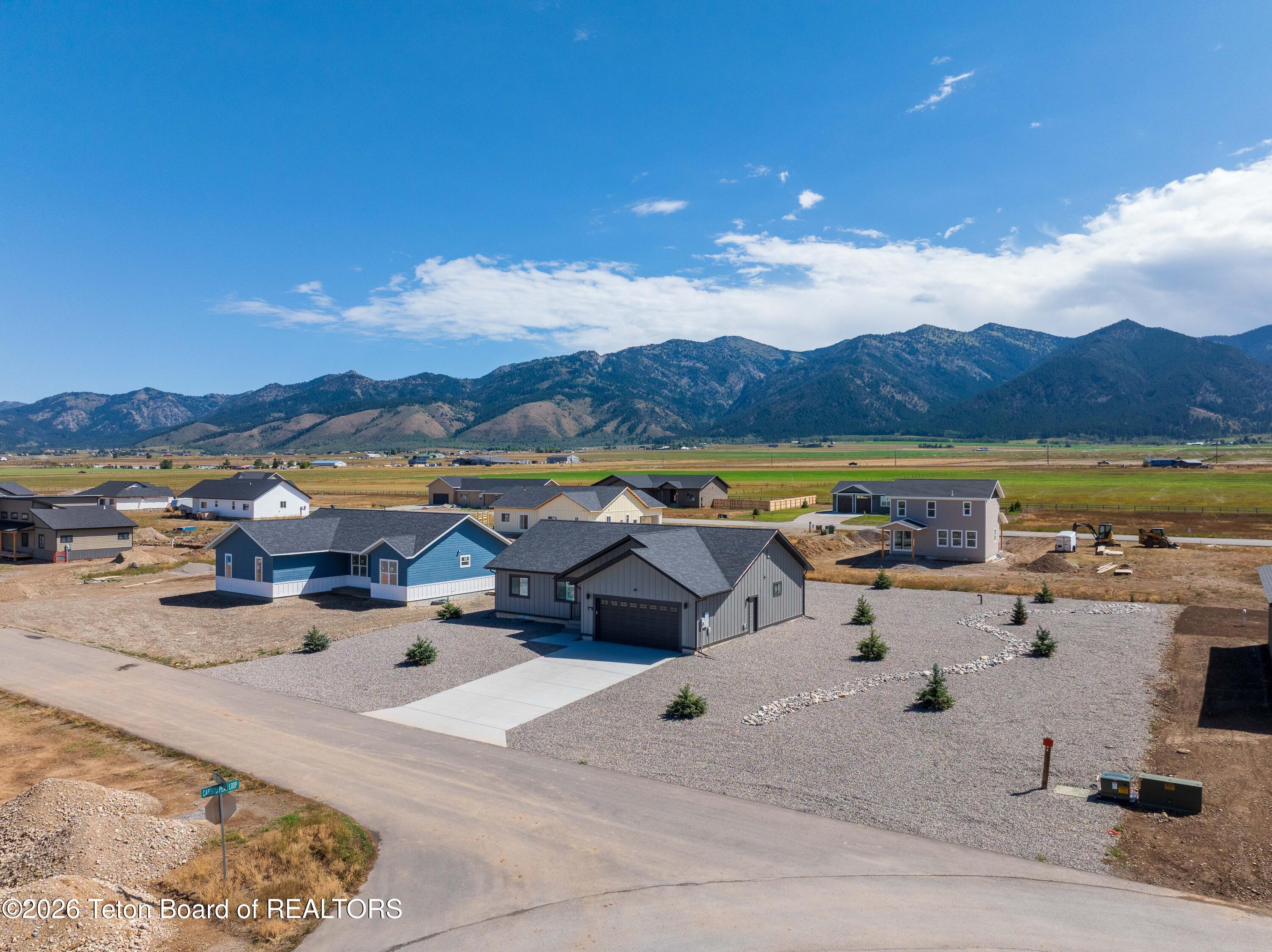 540 LITTLE GREYS Loop