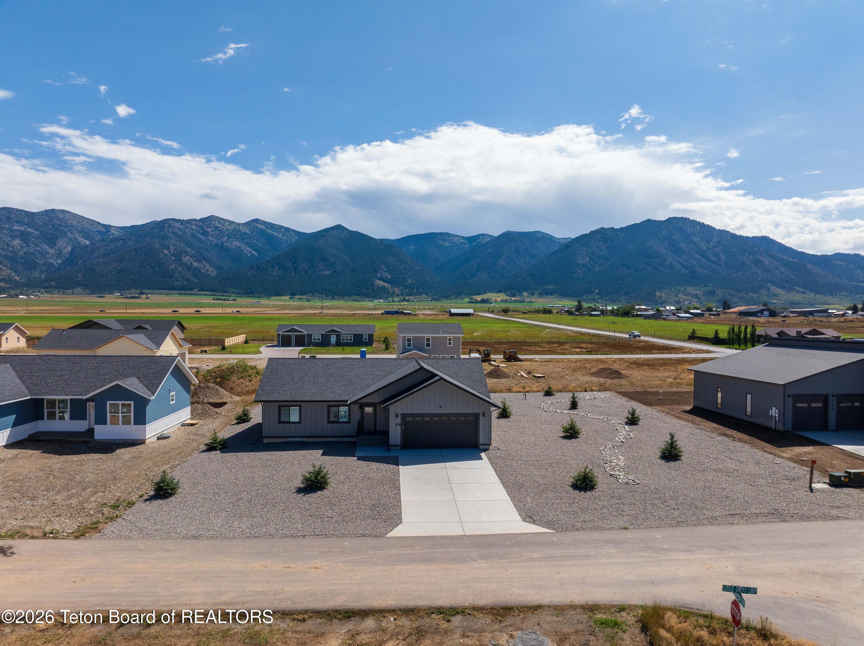 540 LITTLE GREYS Loop