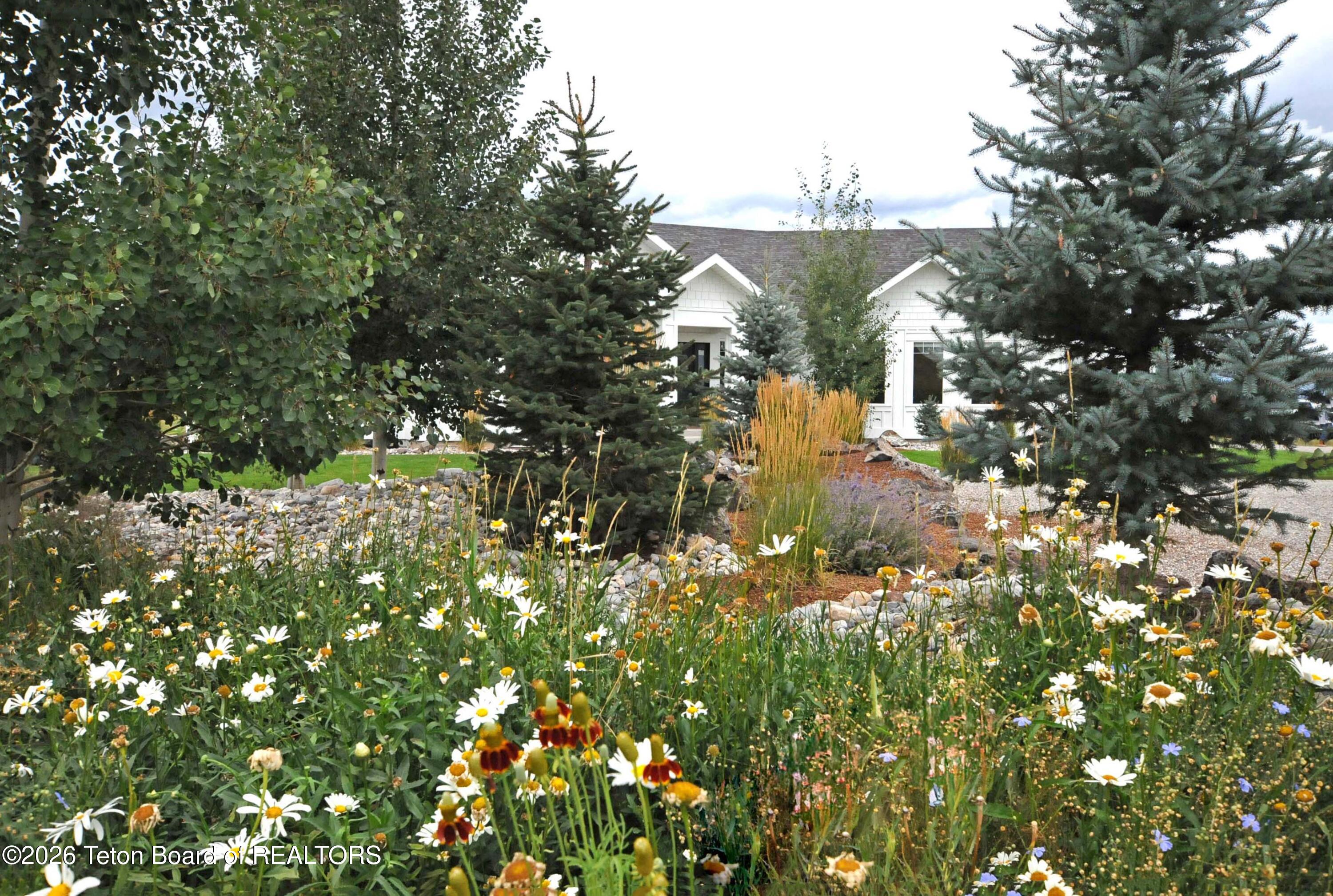 1290 SMOKY CANYON Road