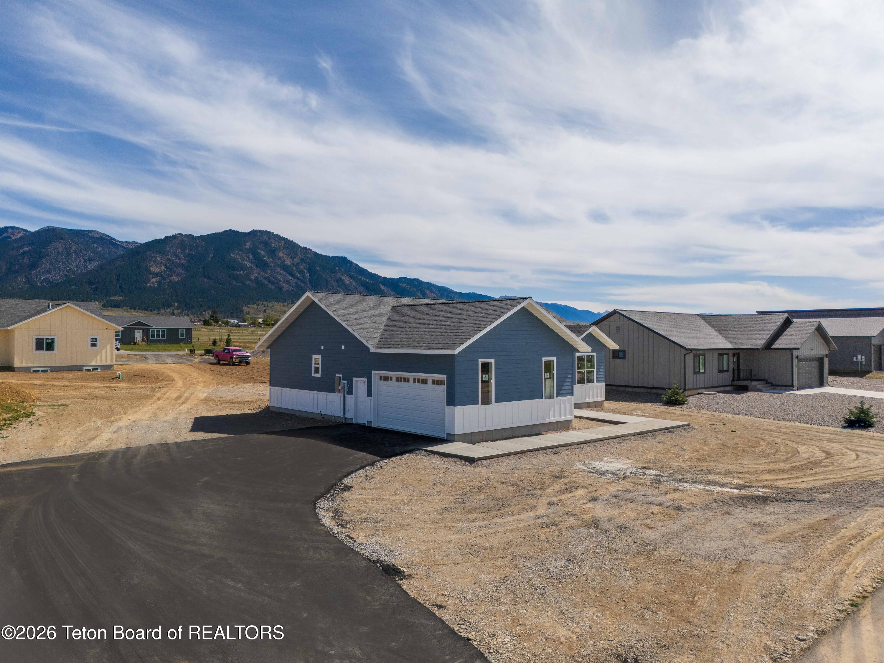 576 LITTLE GREYS Loop