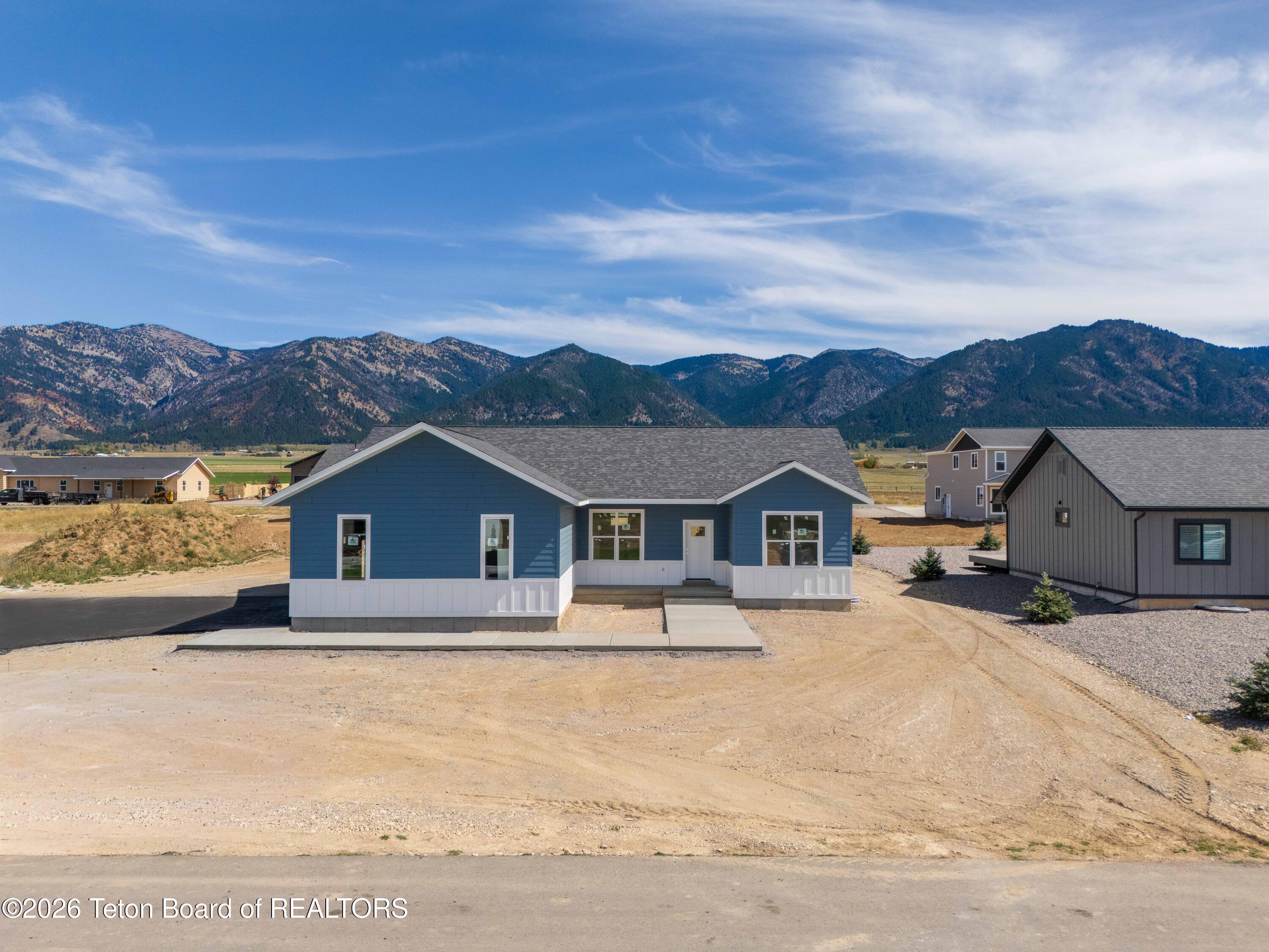 576 LITTLE GREYS Loop