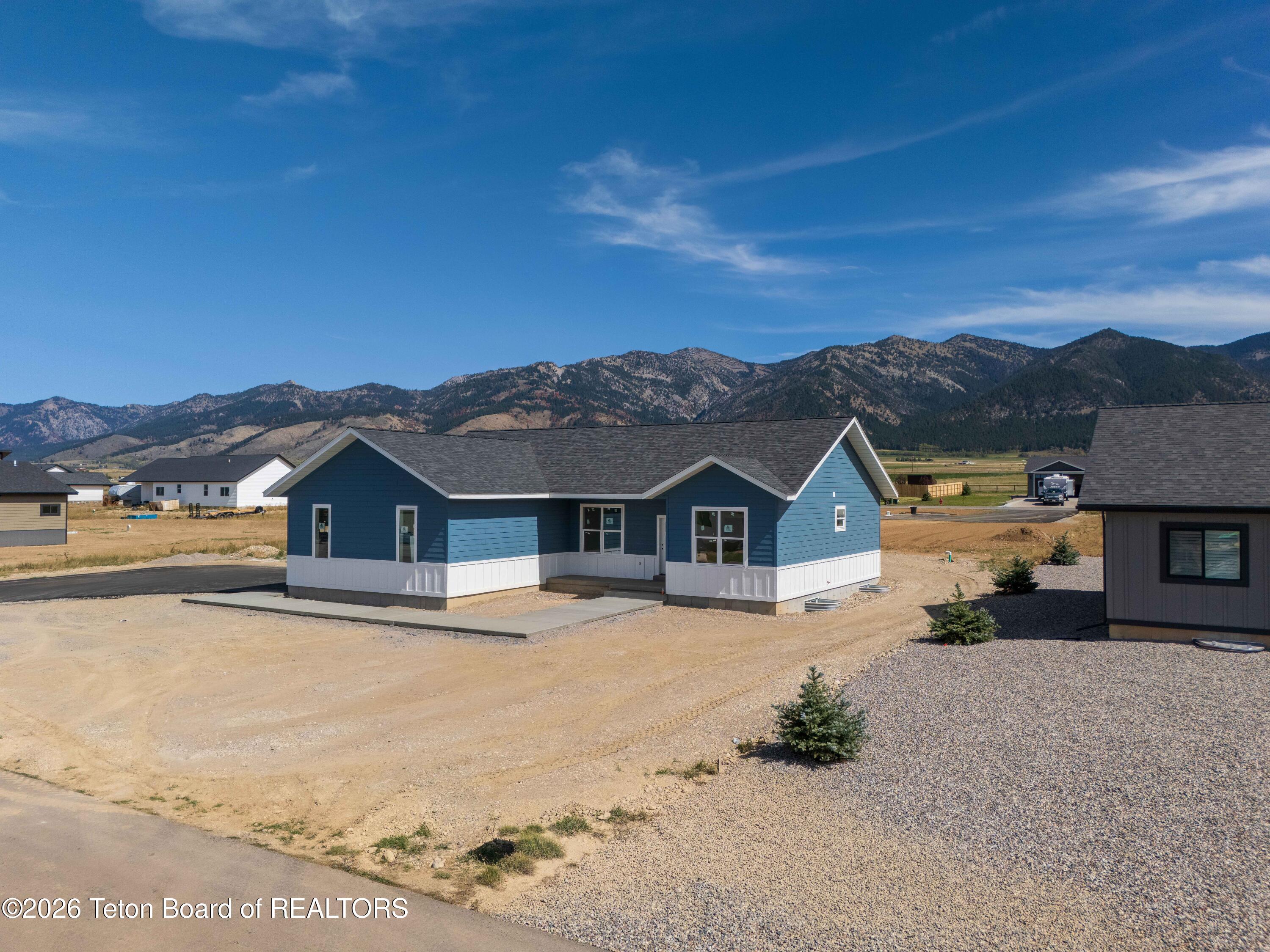 576 LITTLE GREYS Loop