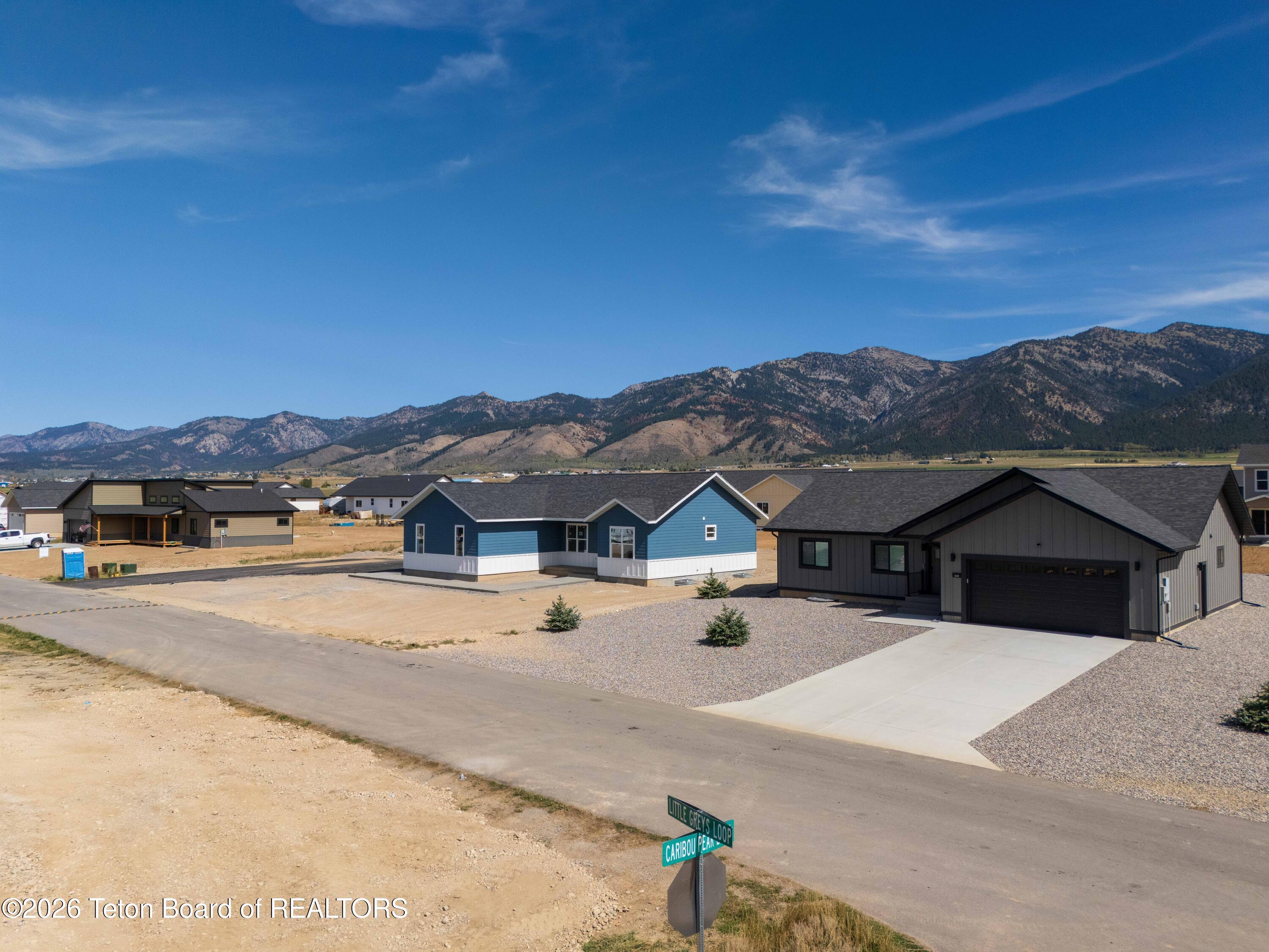 576 LITTLE GREYS Loop