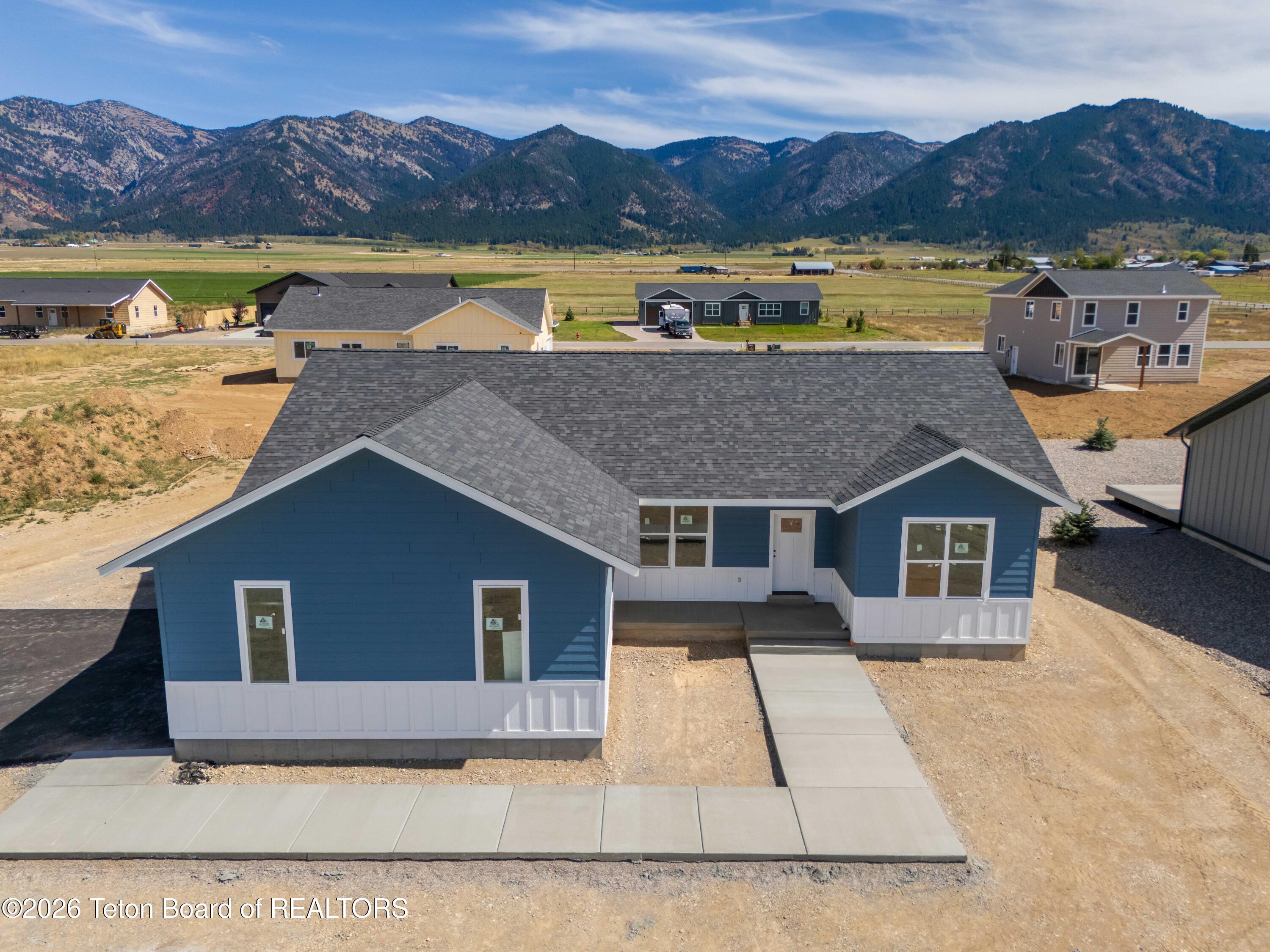 576 LITTLE GREYS Loop