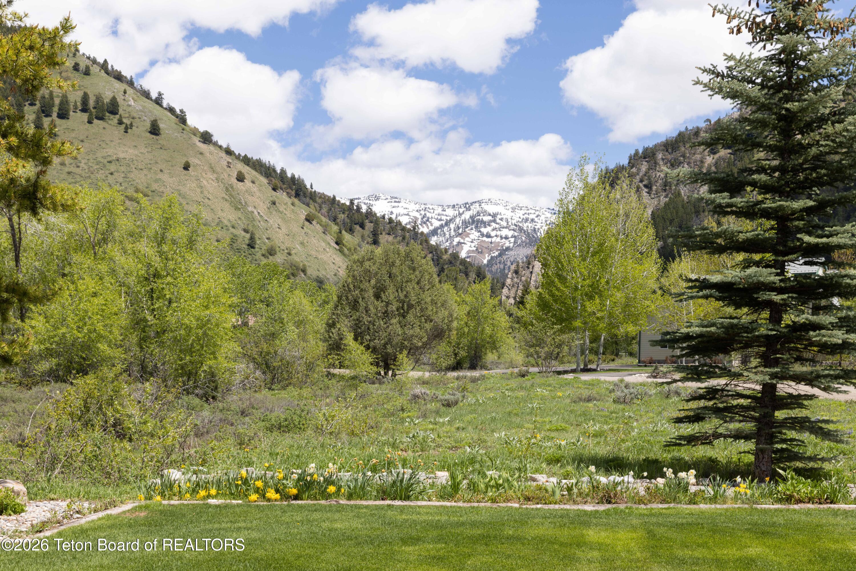 388 MIDDLE BRANCH Drive