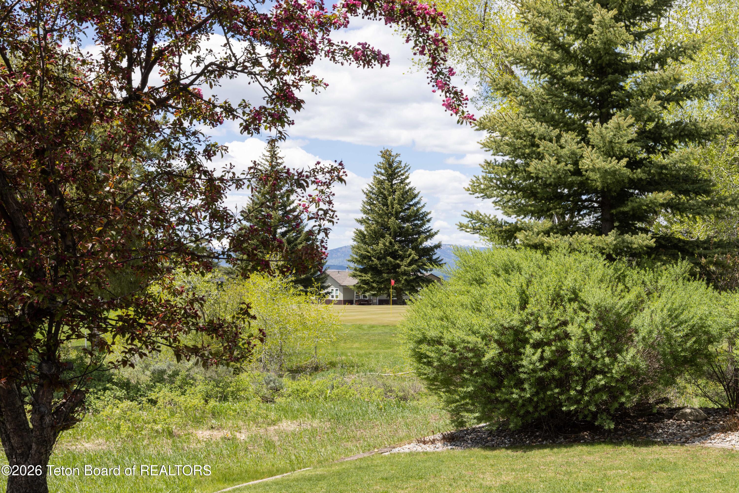 388 MIDDLE BRANCH Drive