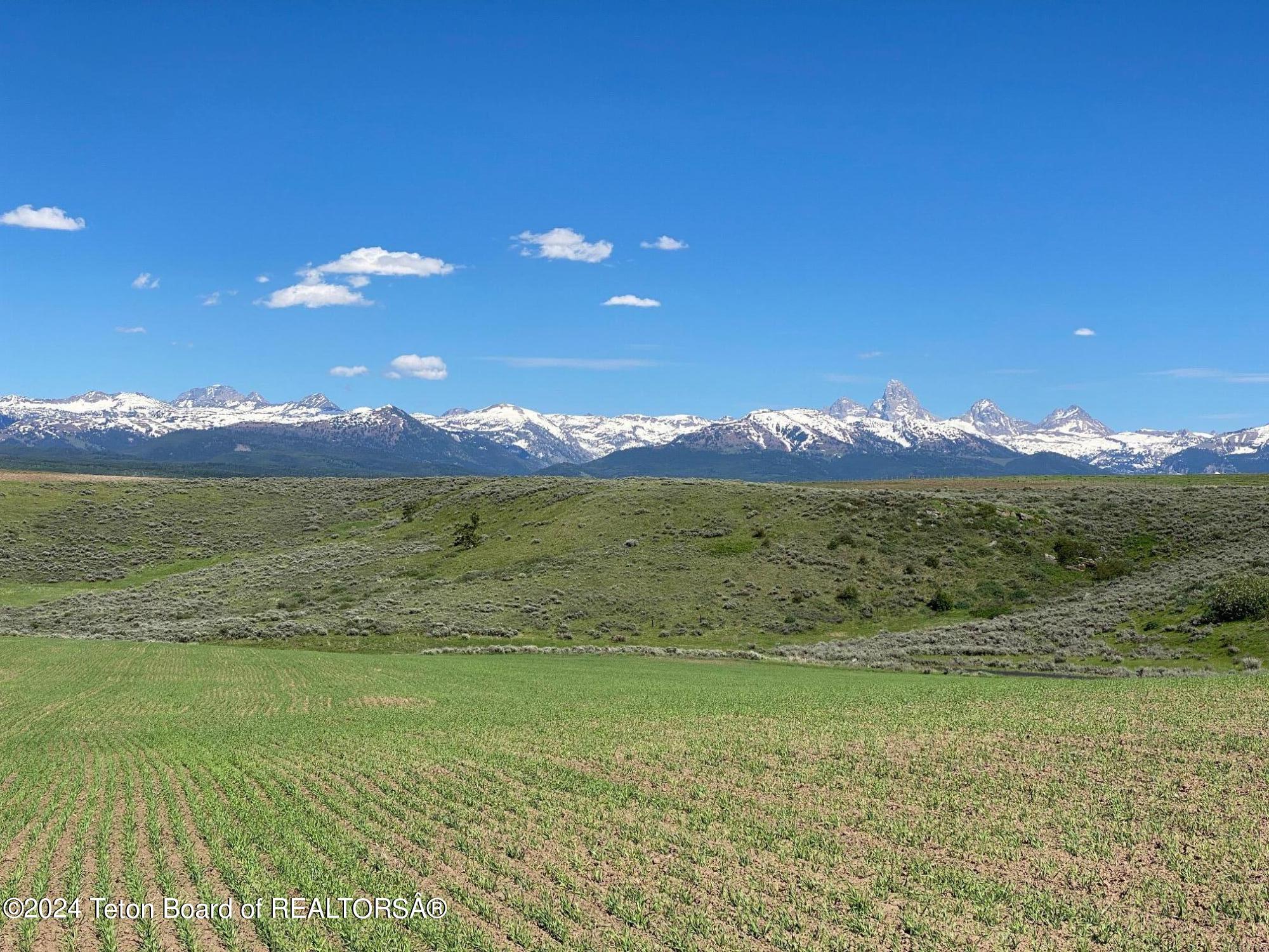 2633 SPRING HOLLOW RANCH Road