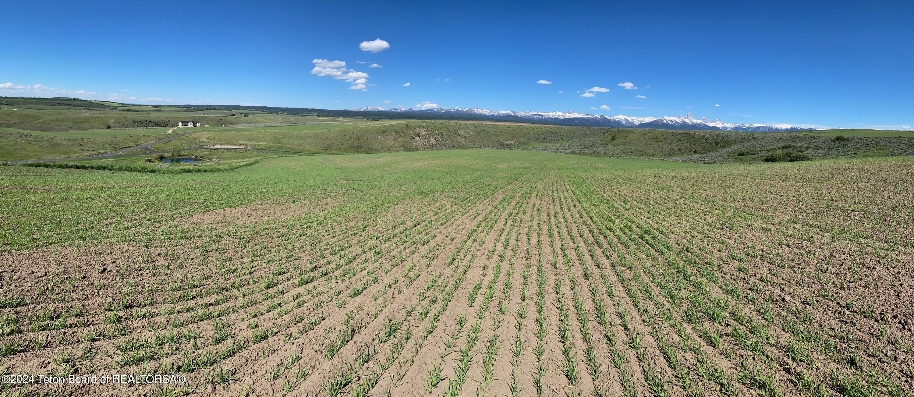 2633 SPRING HOLLOW RANCH Road