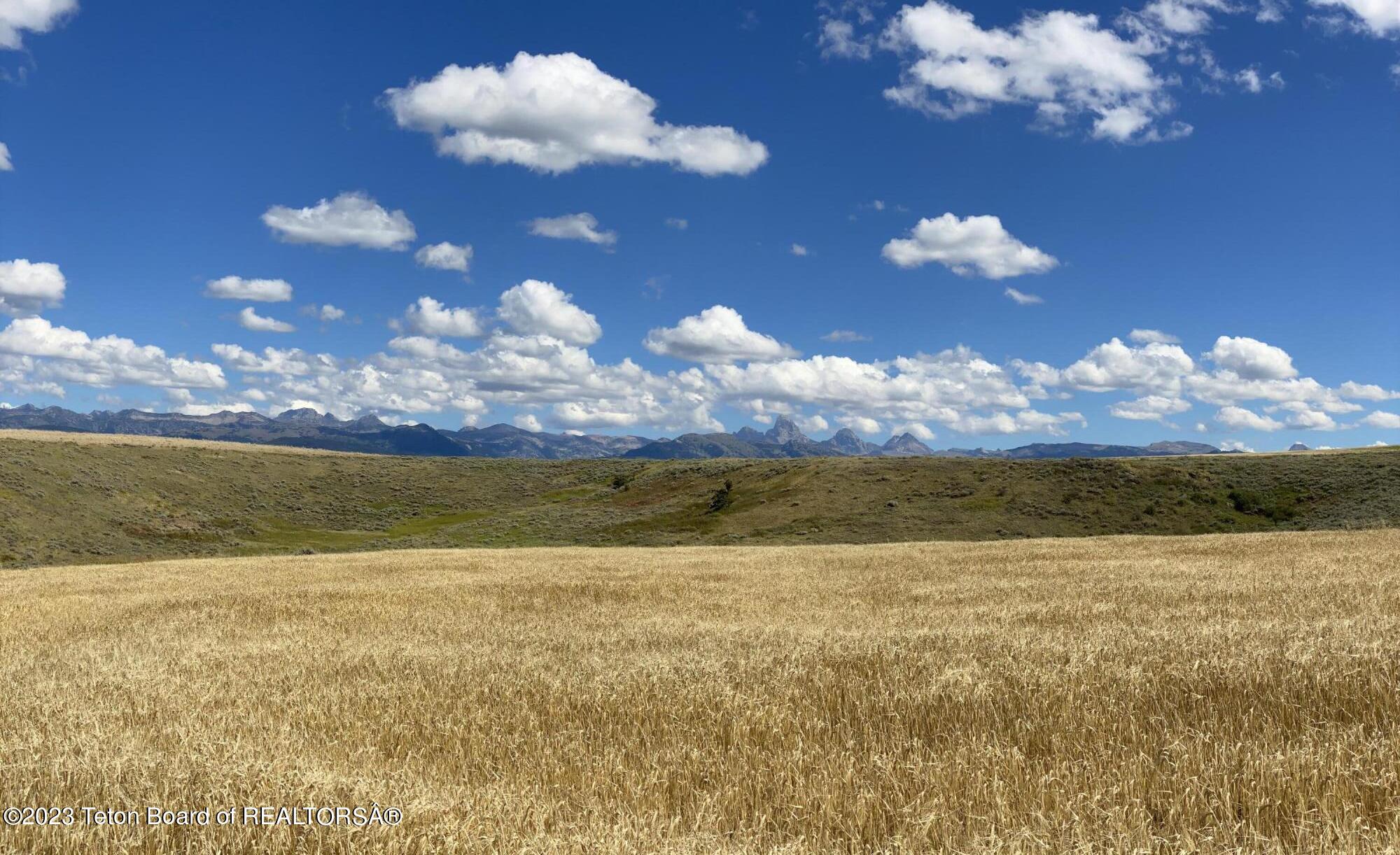 2633 SPRING HOLLOW RANCH Road