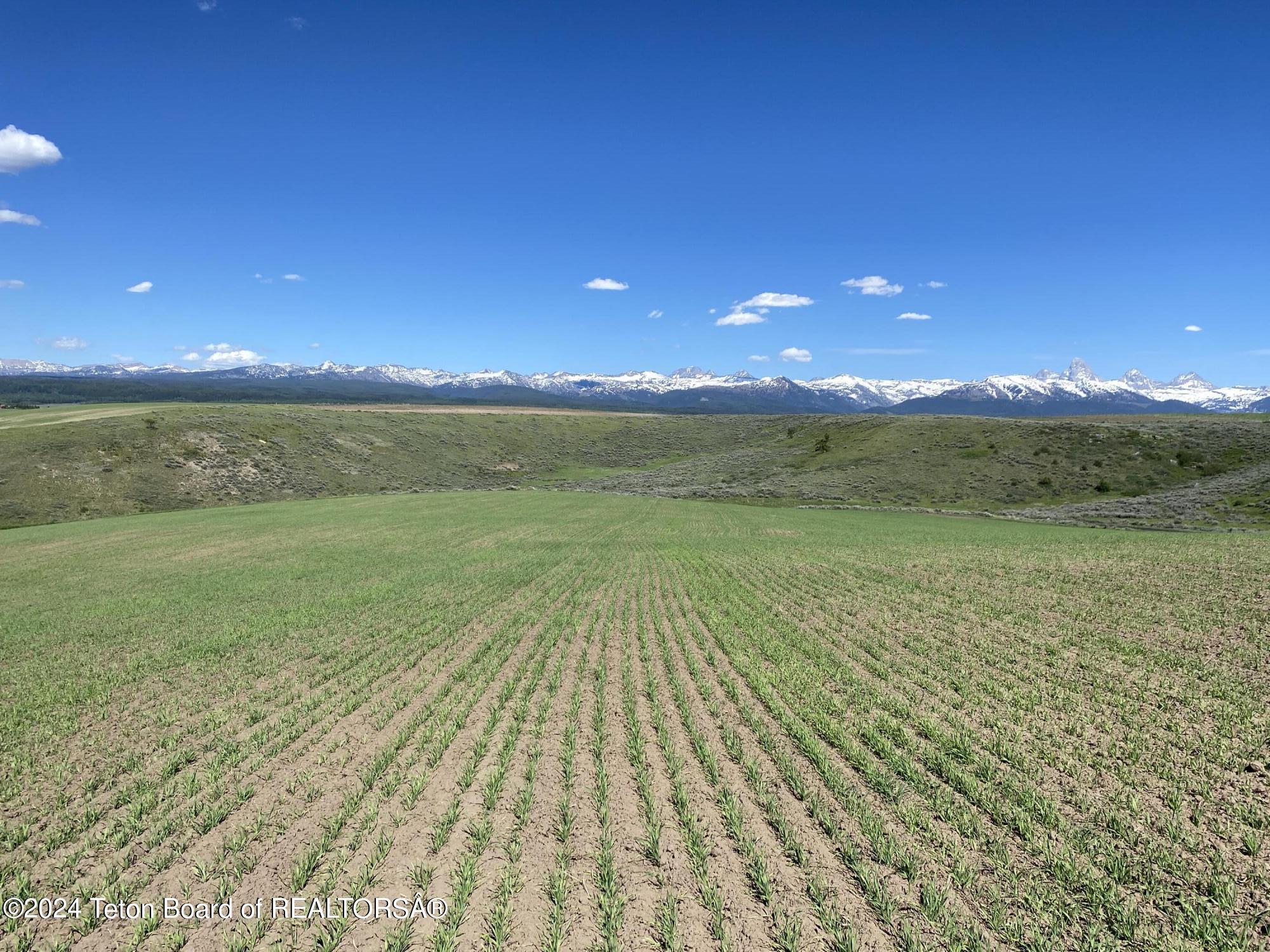 2633 SPRING HOLLOW RANCH Road