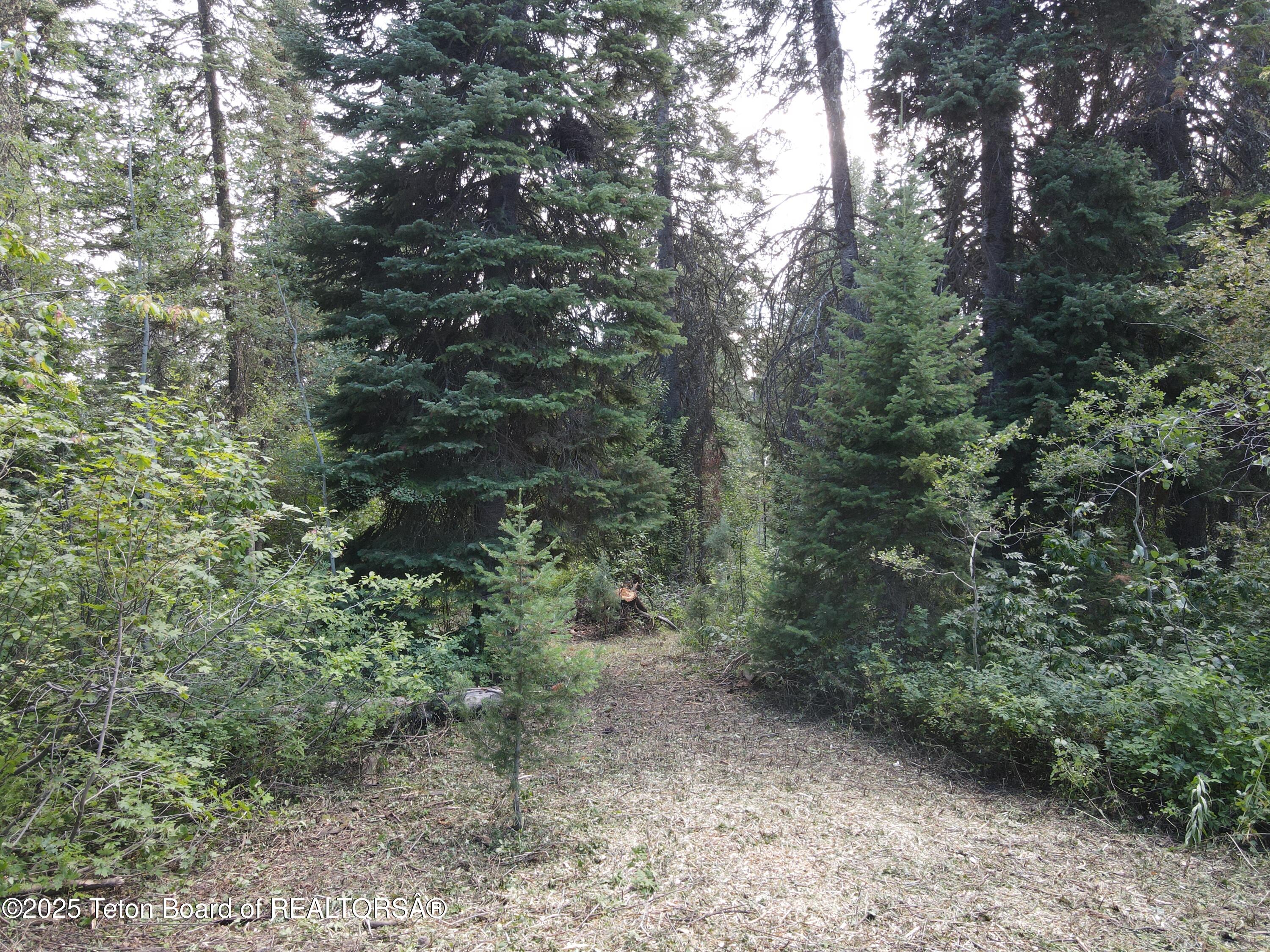LOT 4 PINE Street