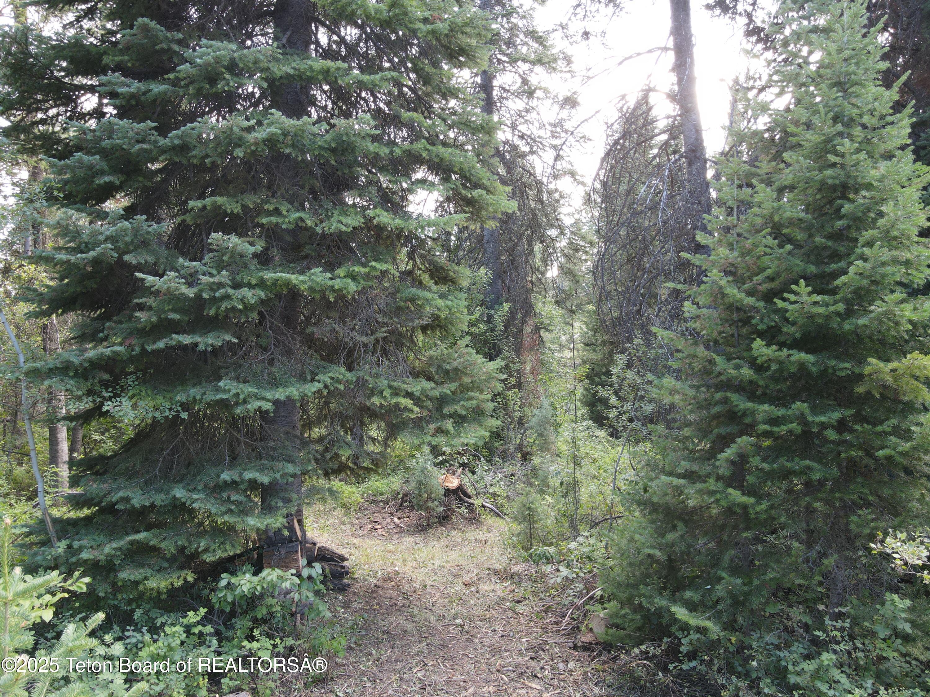 LOT 4 PINE Street