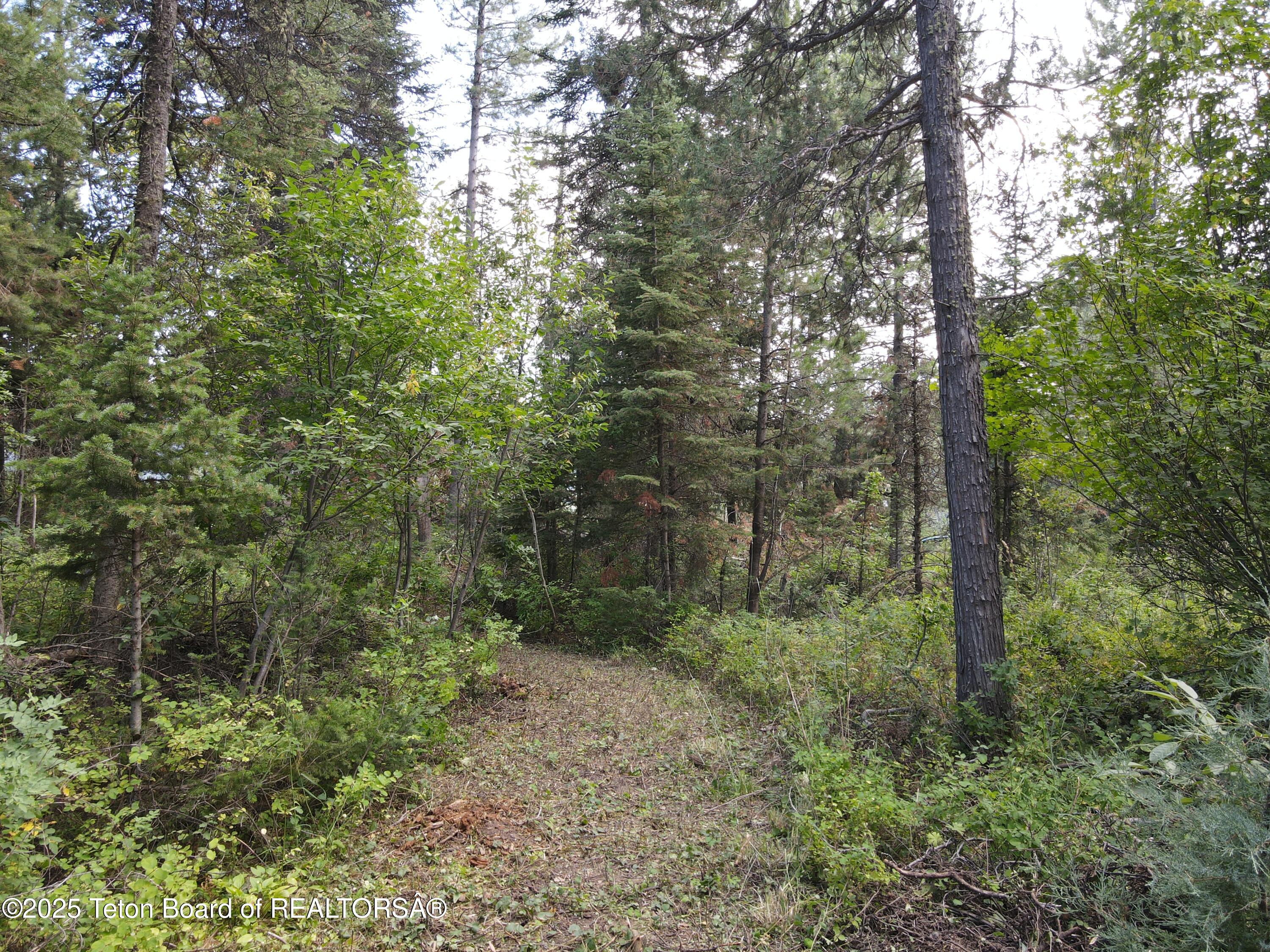 LOT 4 PINE Street