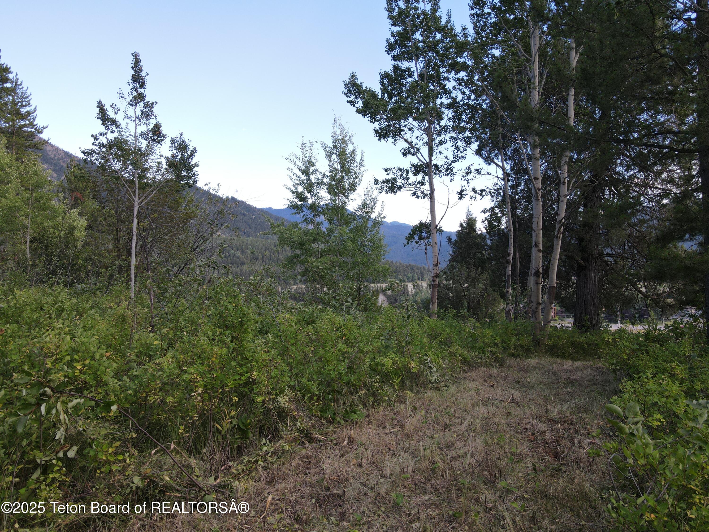 LOT 4 PINE Street