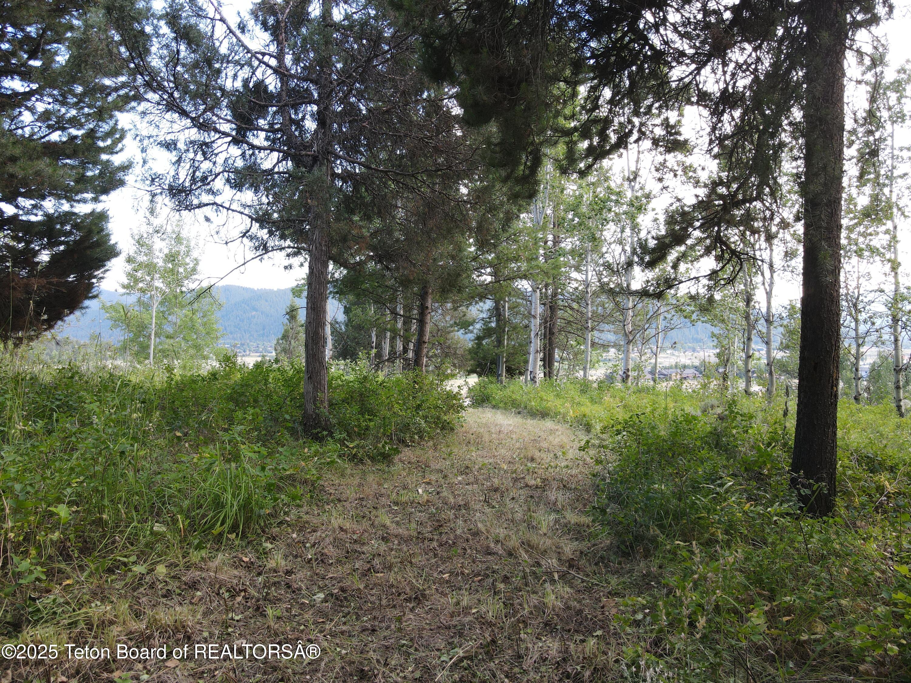 LOT 4 PINE Street